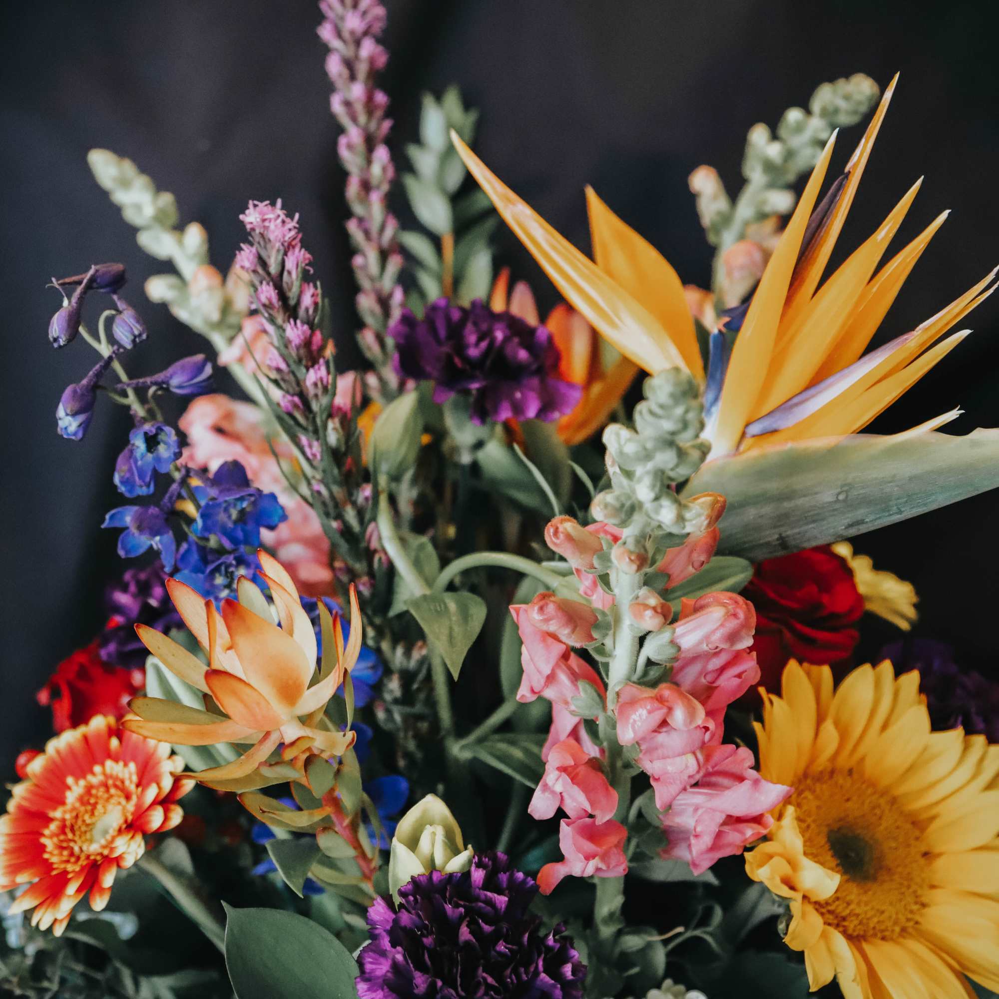 If you stop and close your eyes for a minute, you can