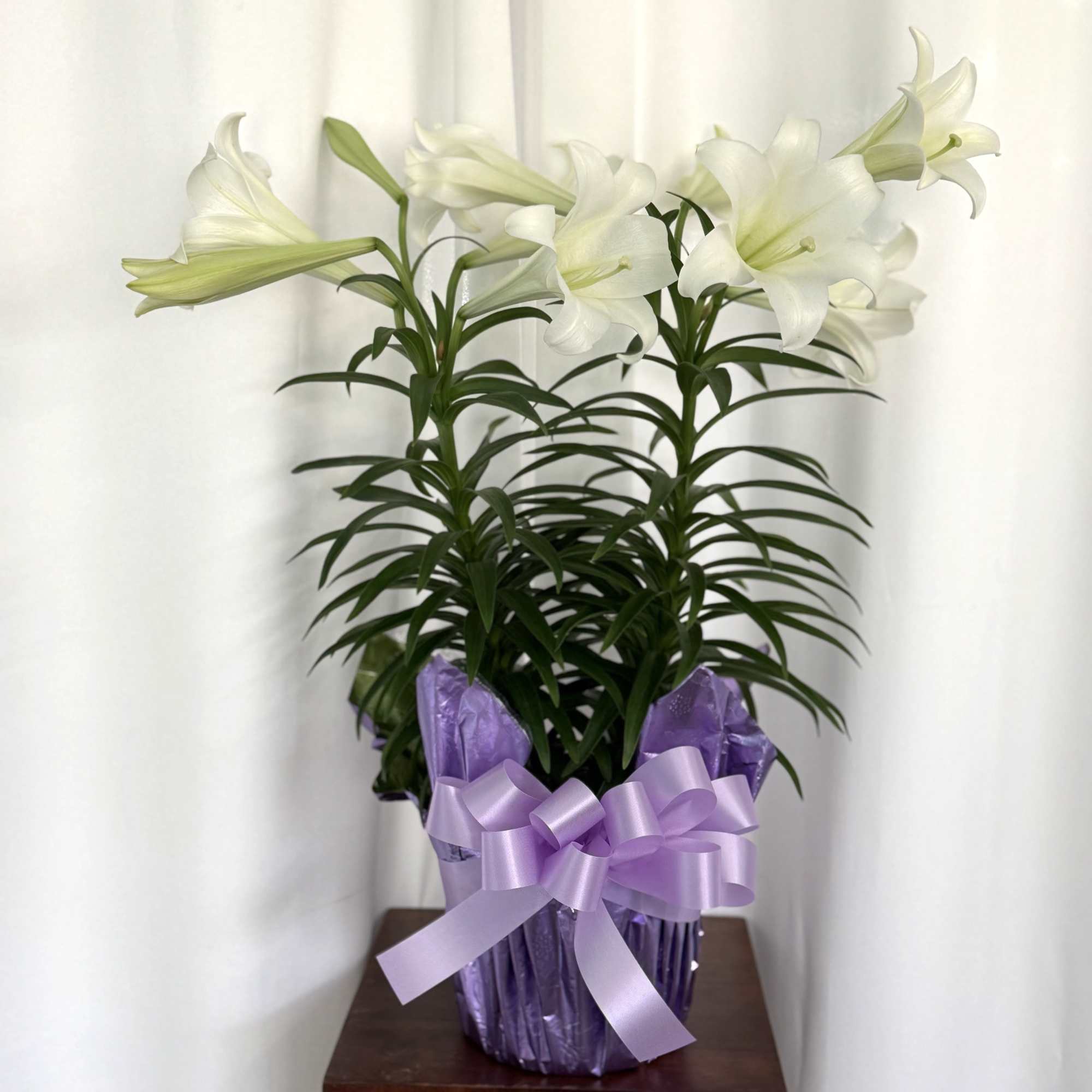 Celebrate the season of renewal with the classic beauty of the Easter