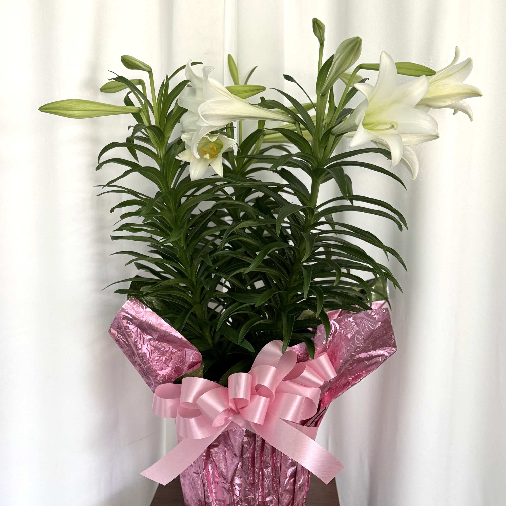 Celebrate the season of renewal with the classic beauty of the Easter