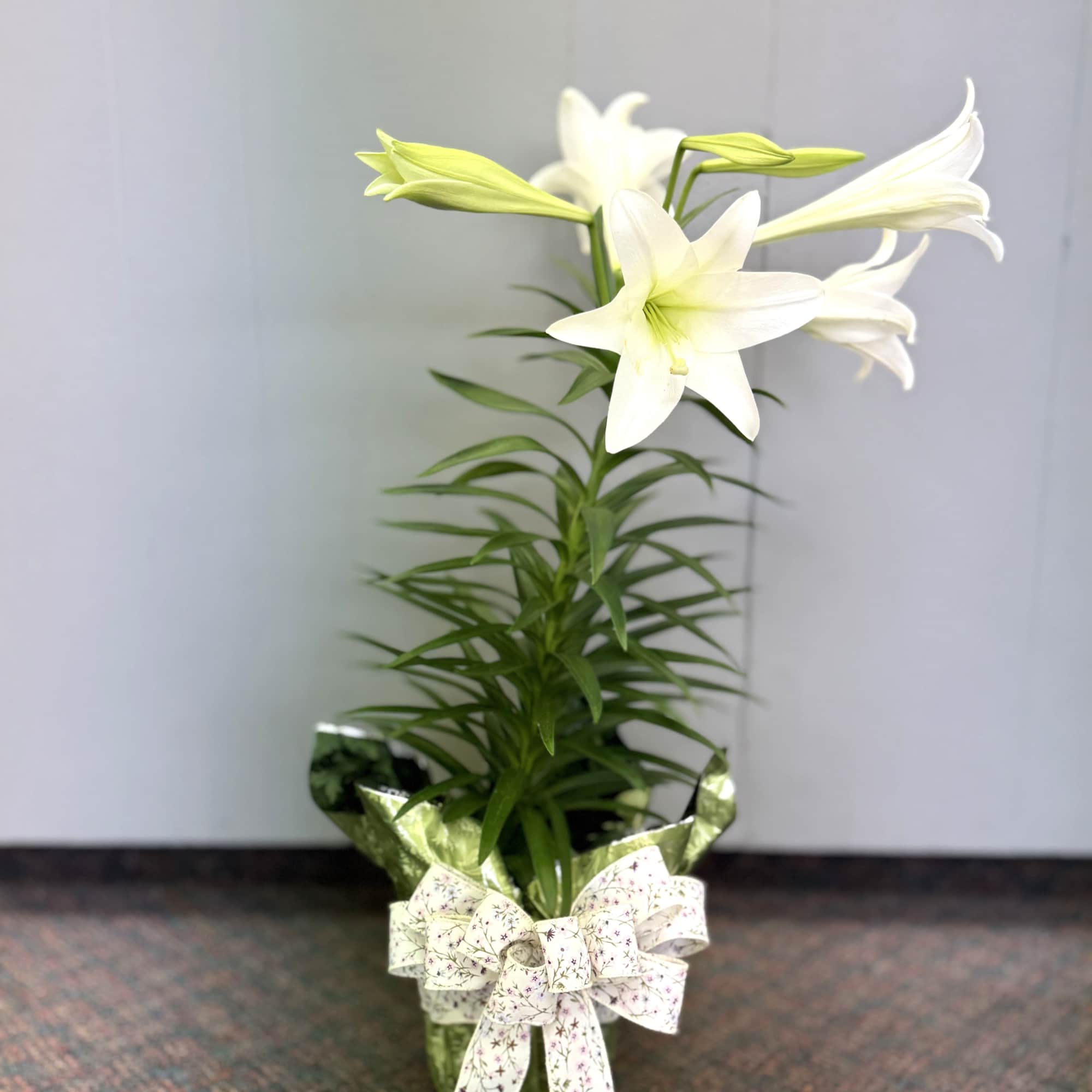 Celebrate the season of renewal with the classic beauty of the Easter