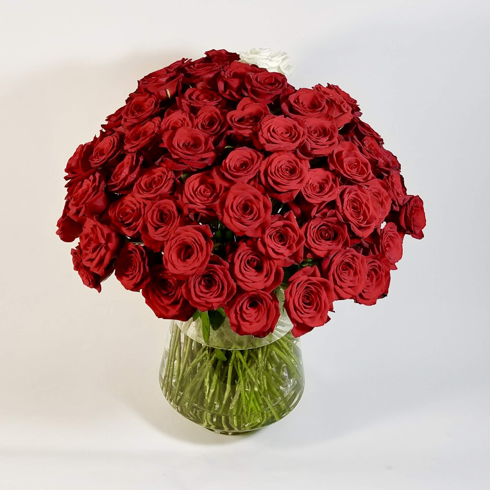 100 red Premium Long Stand Red Roses in a Large Vase
Approximately. 30" 100 red Premium Long Stand Red Roses in a Large Vase
Approximately. 30"