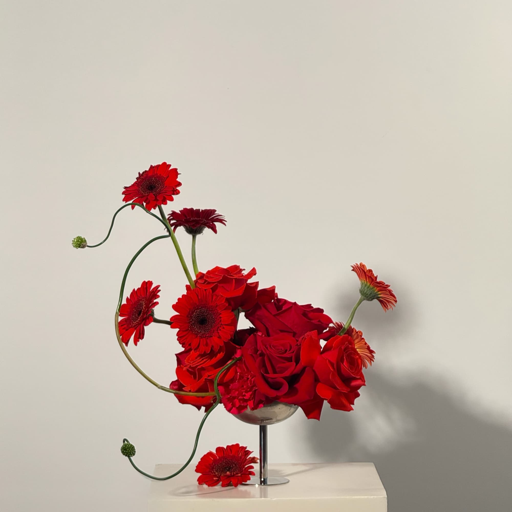  - Features a pairing of velvety red roses and vibrant Gerbera