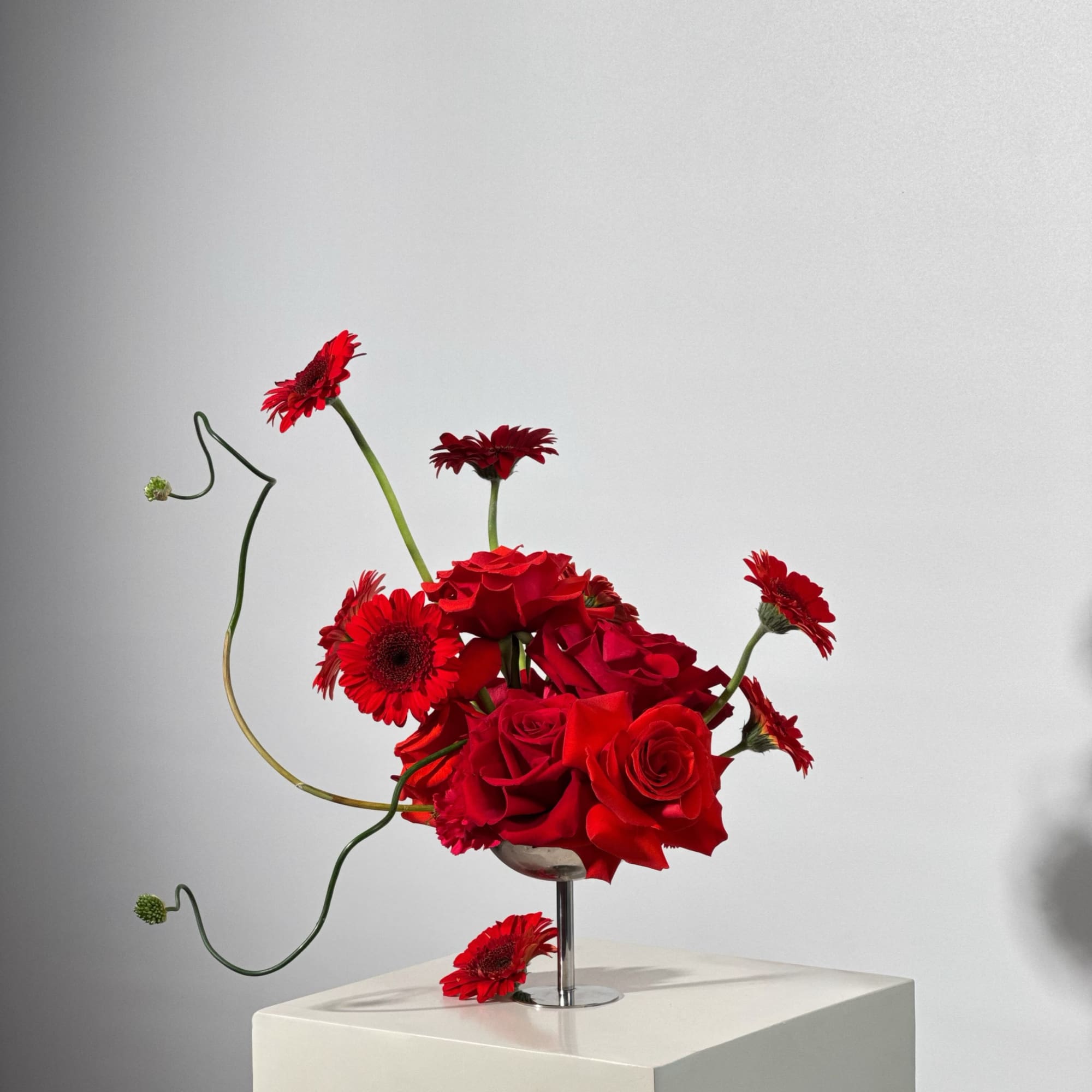  - Features a pairing of velvety red roses and vibrant Gerbera