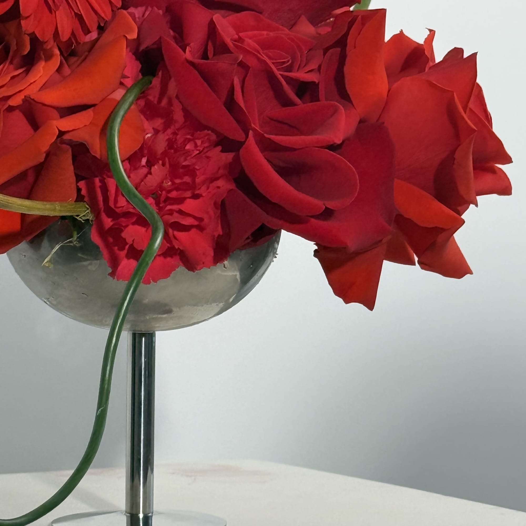  - Features a pairing of velvety red roses and vibrant Gerbera