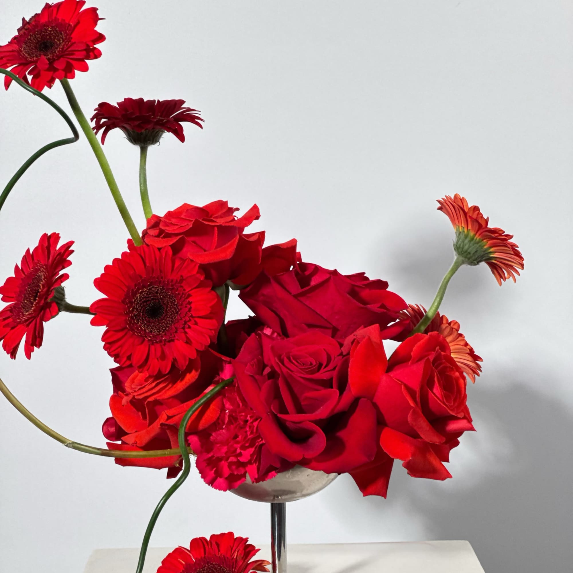  - Features a pairing of velvety red roses and vibrant Gerbera