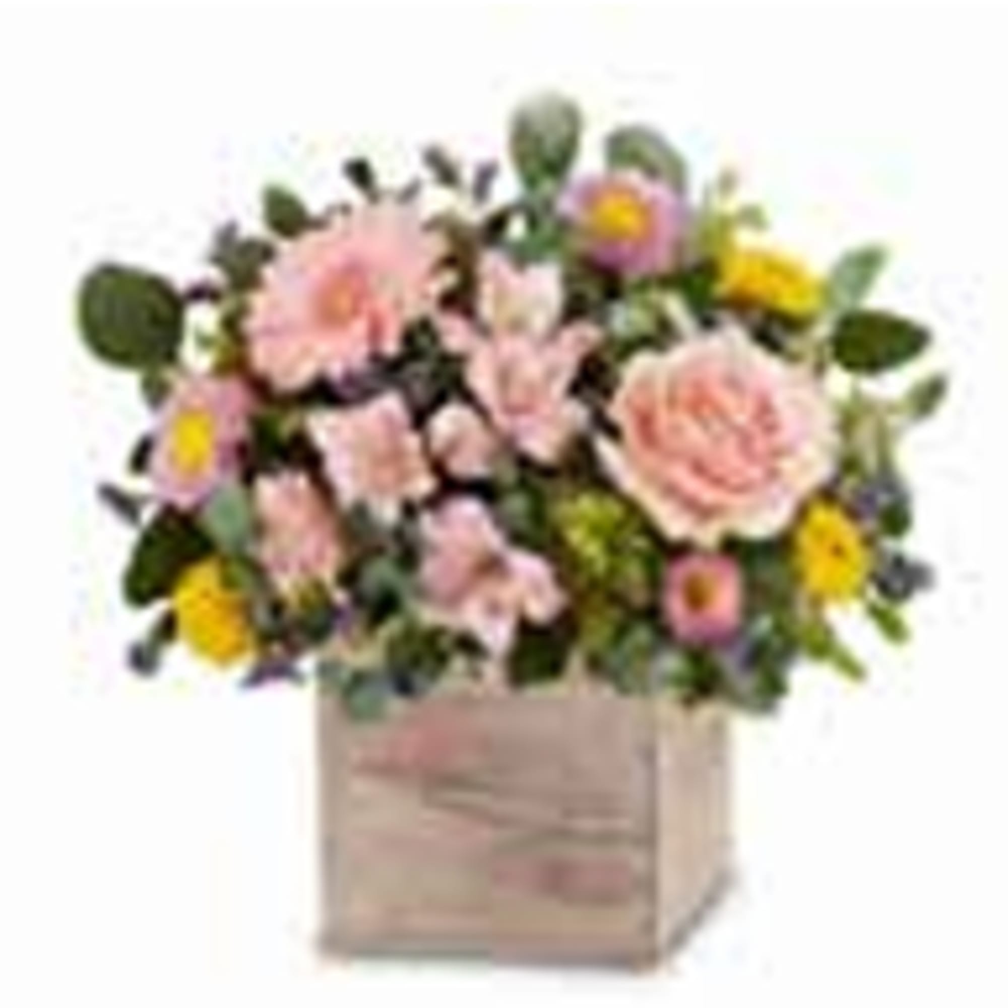 Beautiful pink spring blooms. Please note that while we strive to ensure