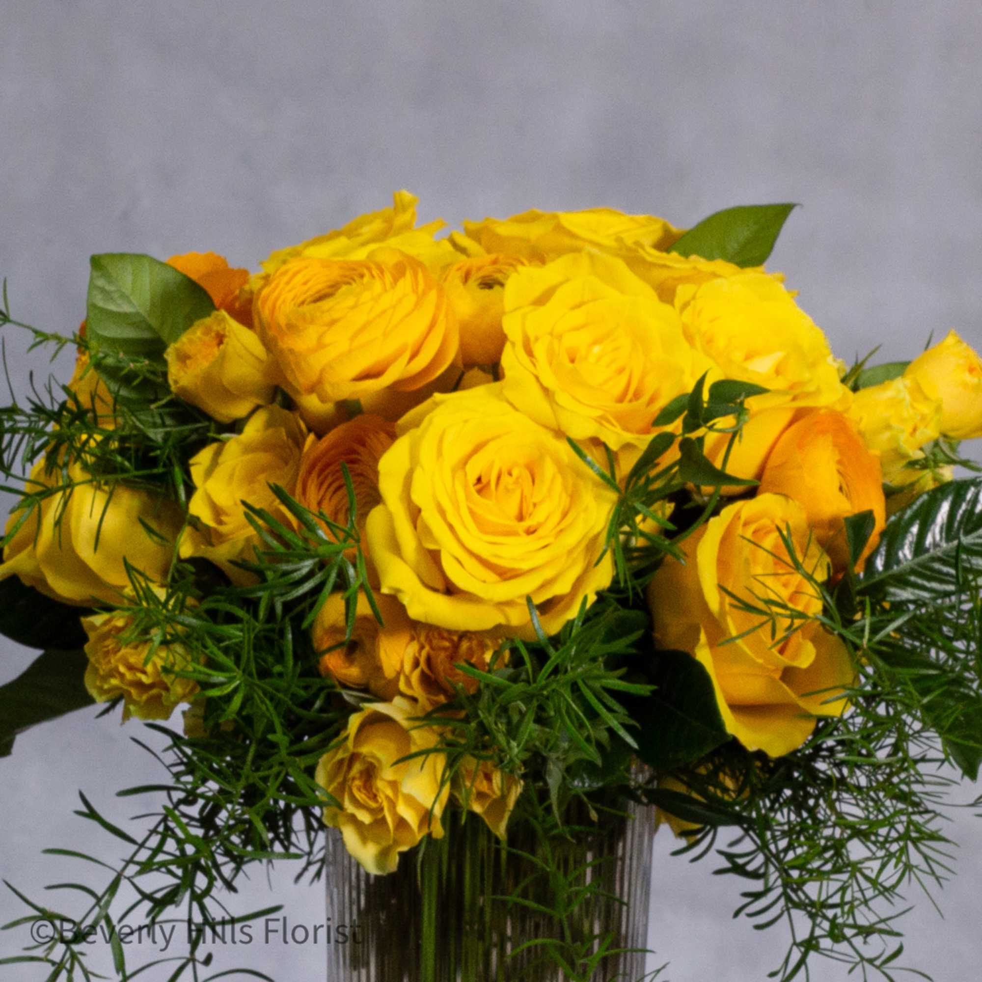 Citrus Burst" offers a lively homage to the sun's golden embrace. Nestled Citrus Burst" offers a lively homage to the sun's golden embrace. Nestled