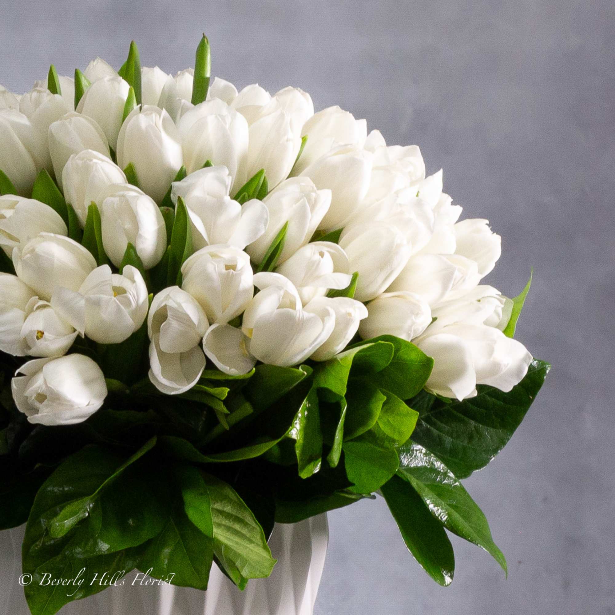 White tulips symbolize purity, innocence, and new beginnings. When arranged in a White tulips symbolize purity, innocence, and new beginnings. When arranged in a