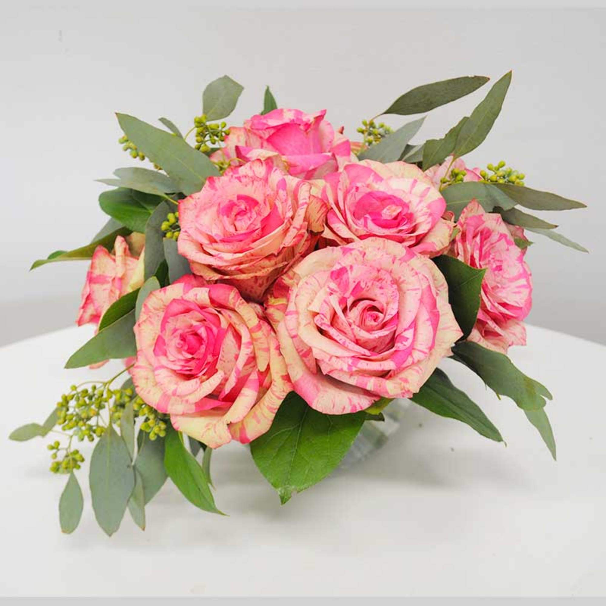 【国内即発送】 Park in Parisian Rose Times Magic K2408 Ridge, Kiko's | IL 邦楽