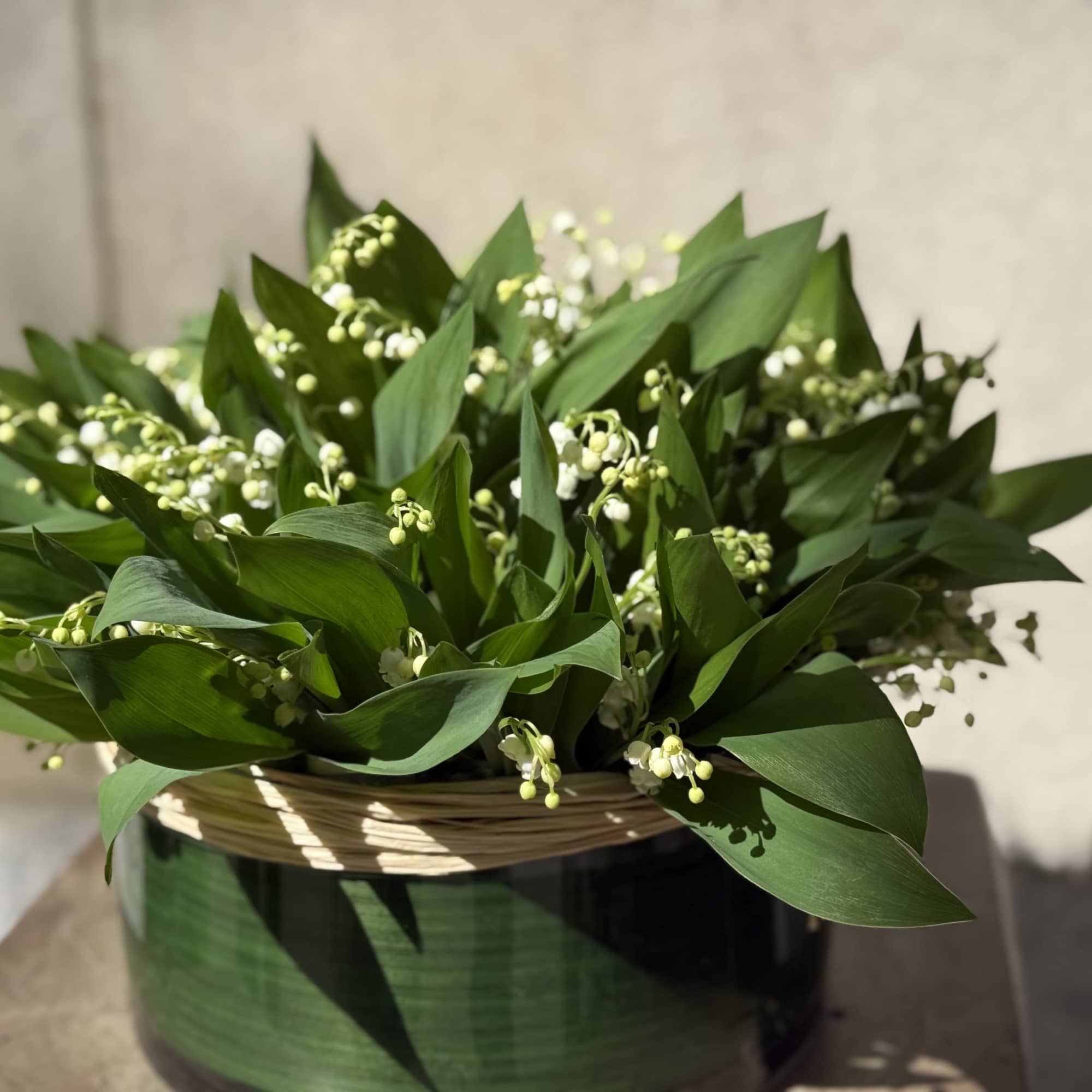 Green floral arrangement with small white blossoms in a dark vase