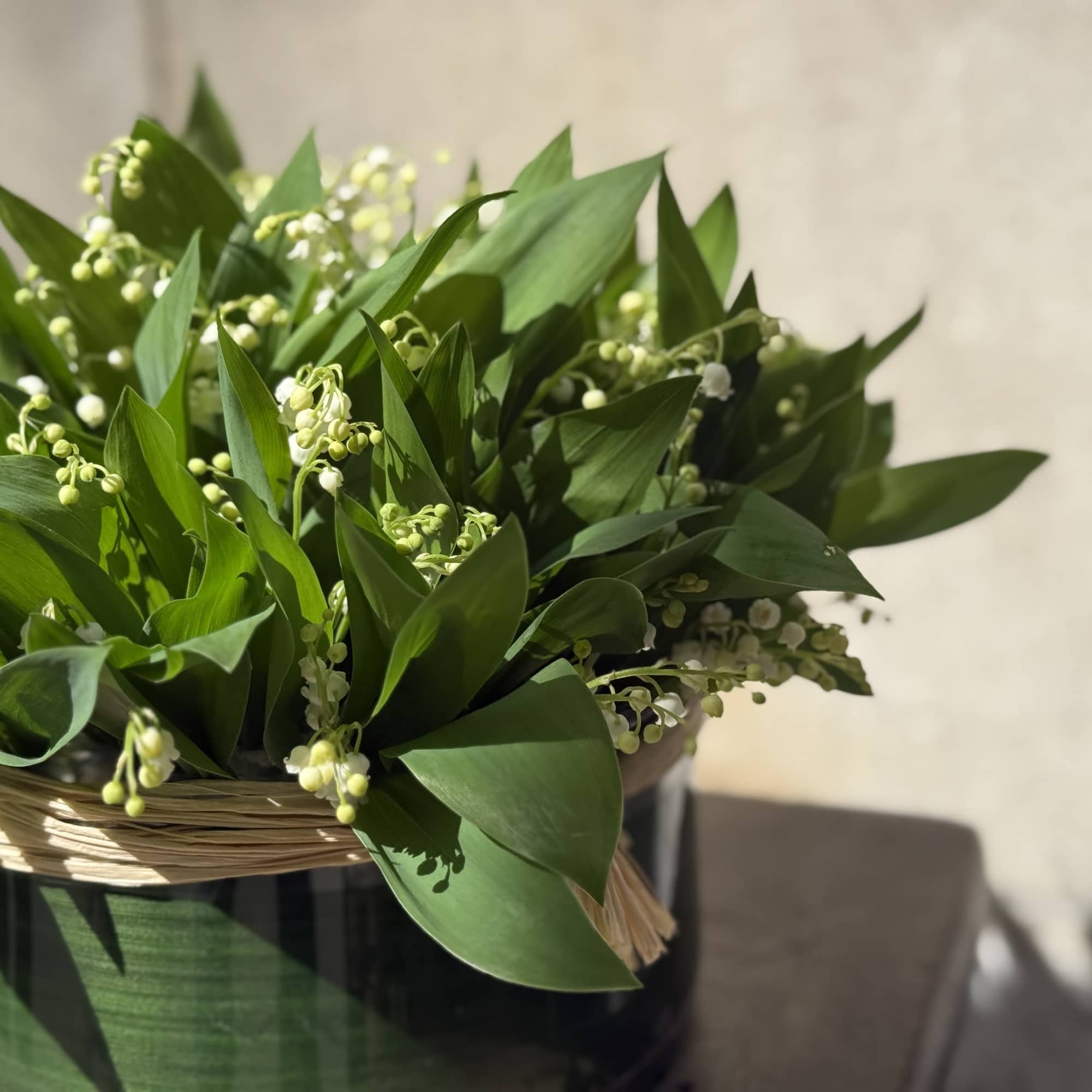 Green lily-of-the-valley arrangement in a dark container with woven trim