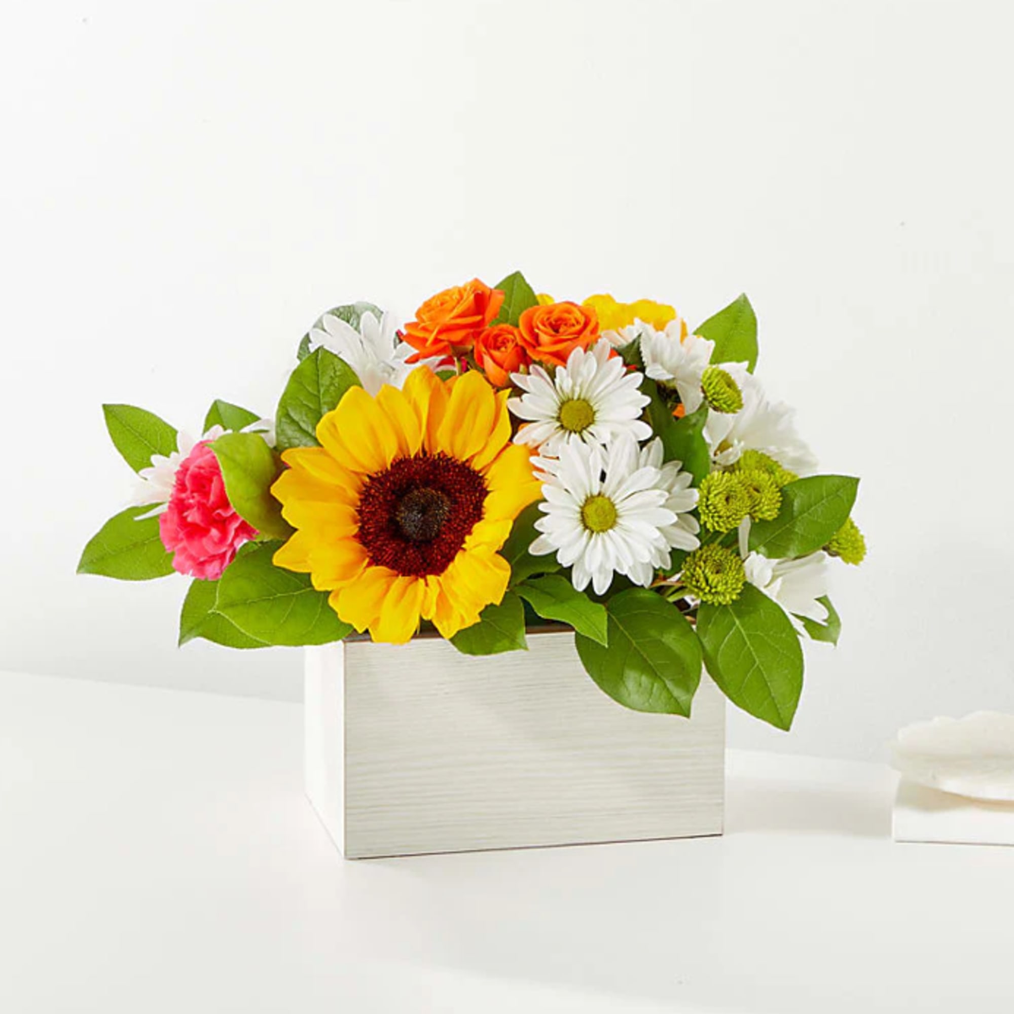 Feel the warmth radiating from these colorful stems, sure to put a