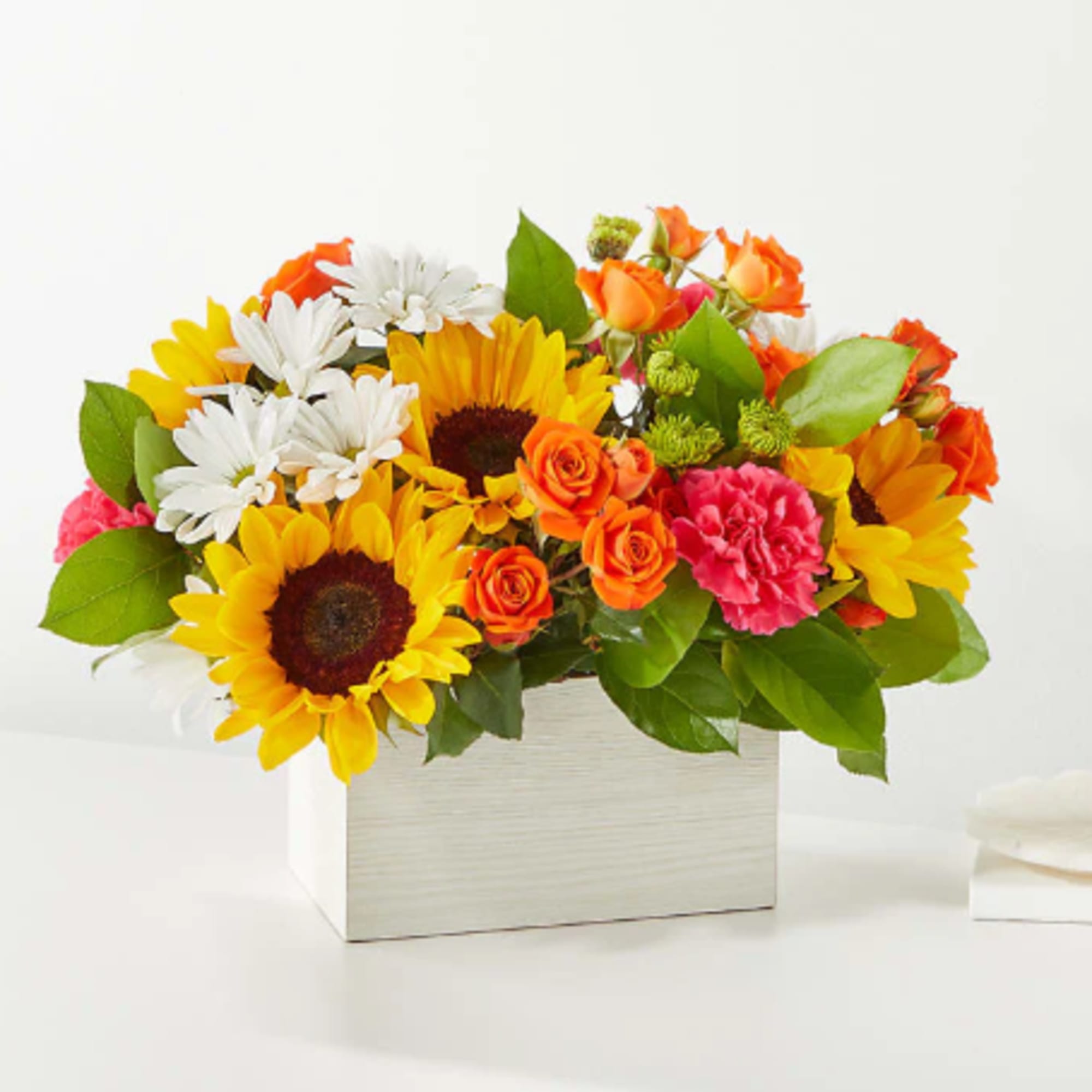 Feel the warmth radiating from these colorful stems, sure to put a
