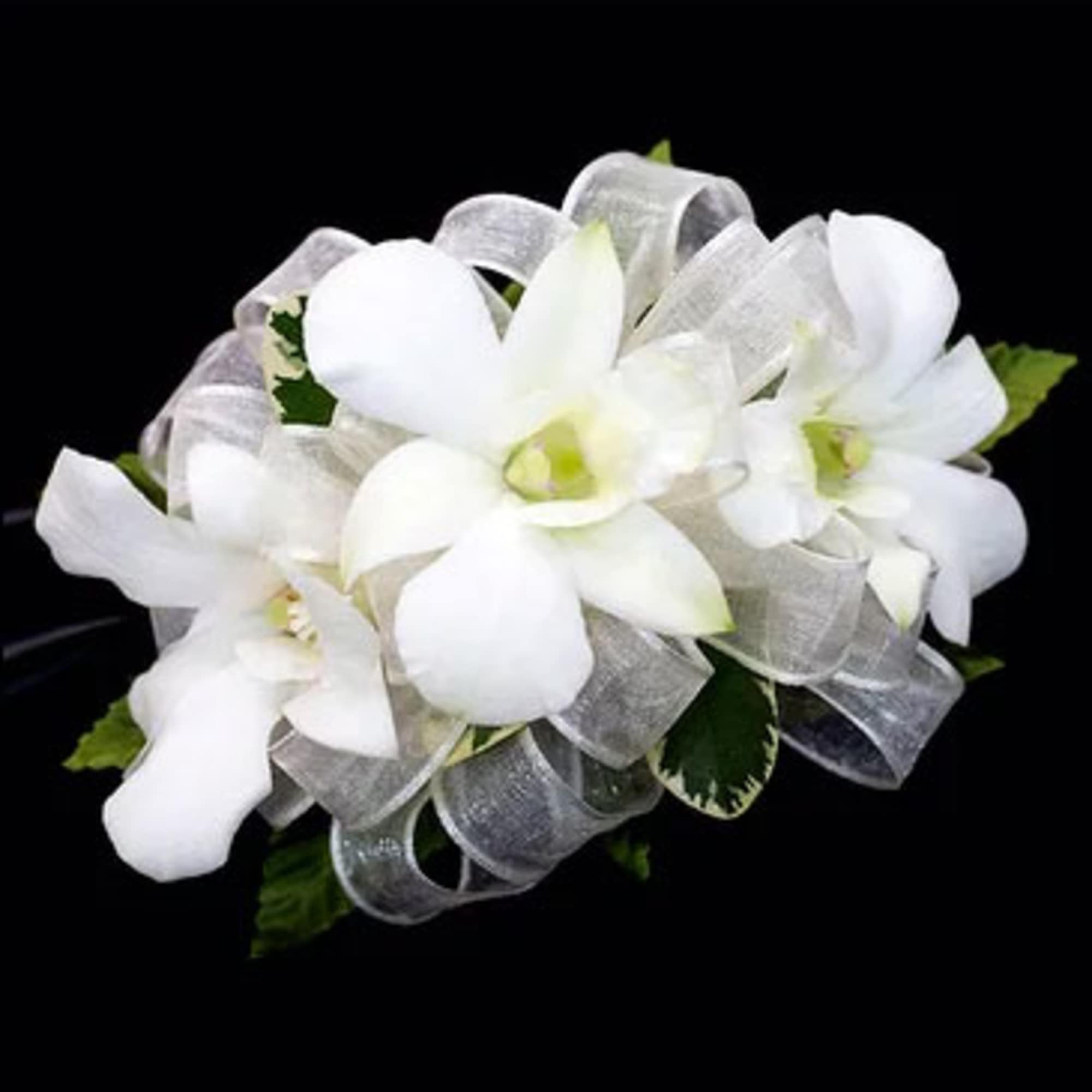 A spray of dendrobium orchids nestles against shiny green leaves and baby&#039;s