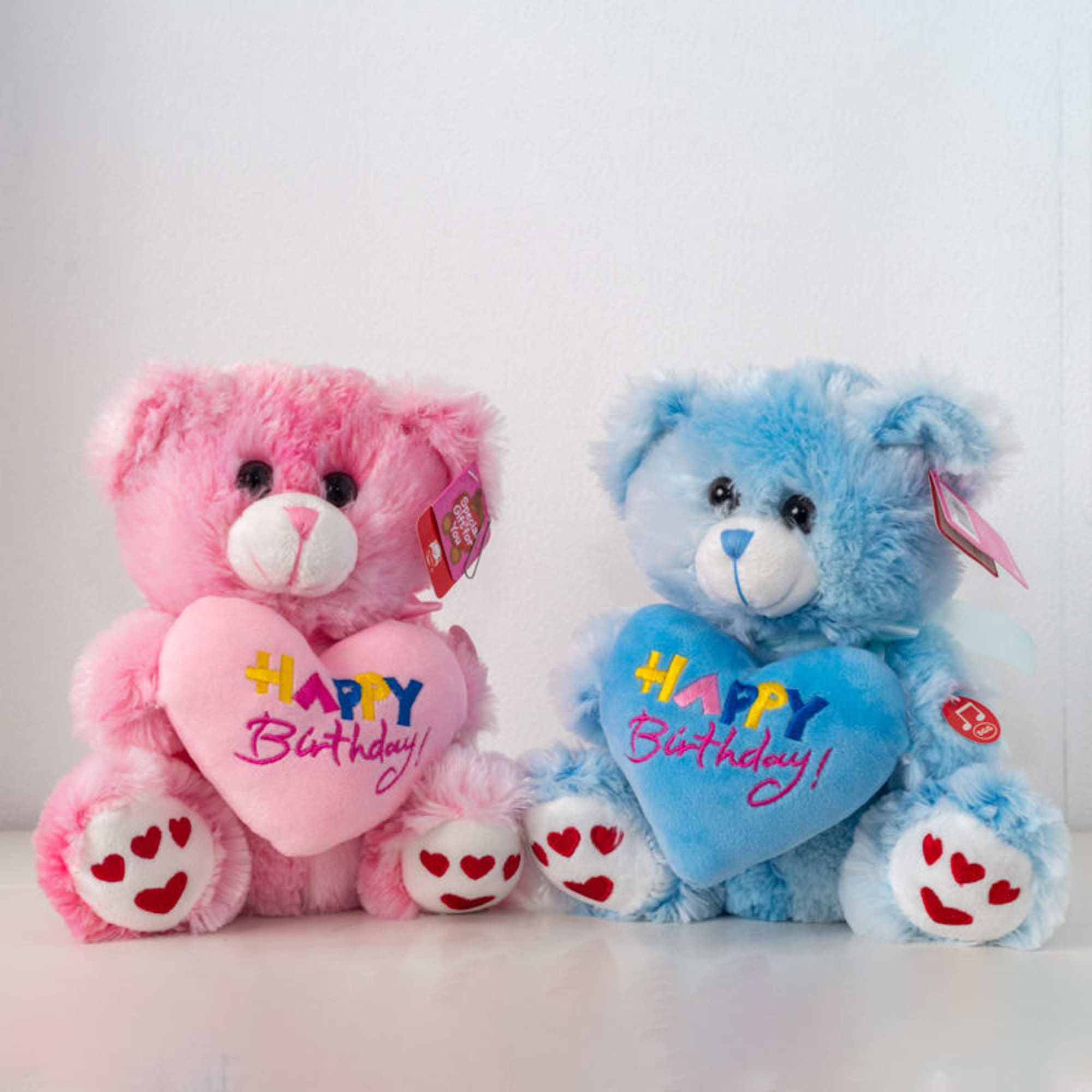 Happy Birthday Teddy small
(flowers can be any color upon request/availability, vases/pots may