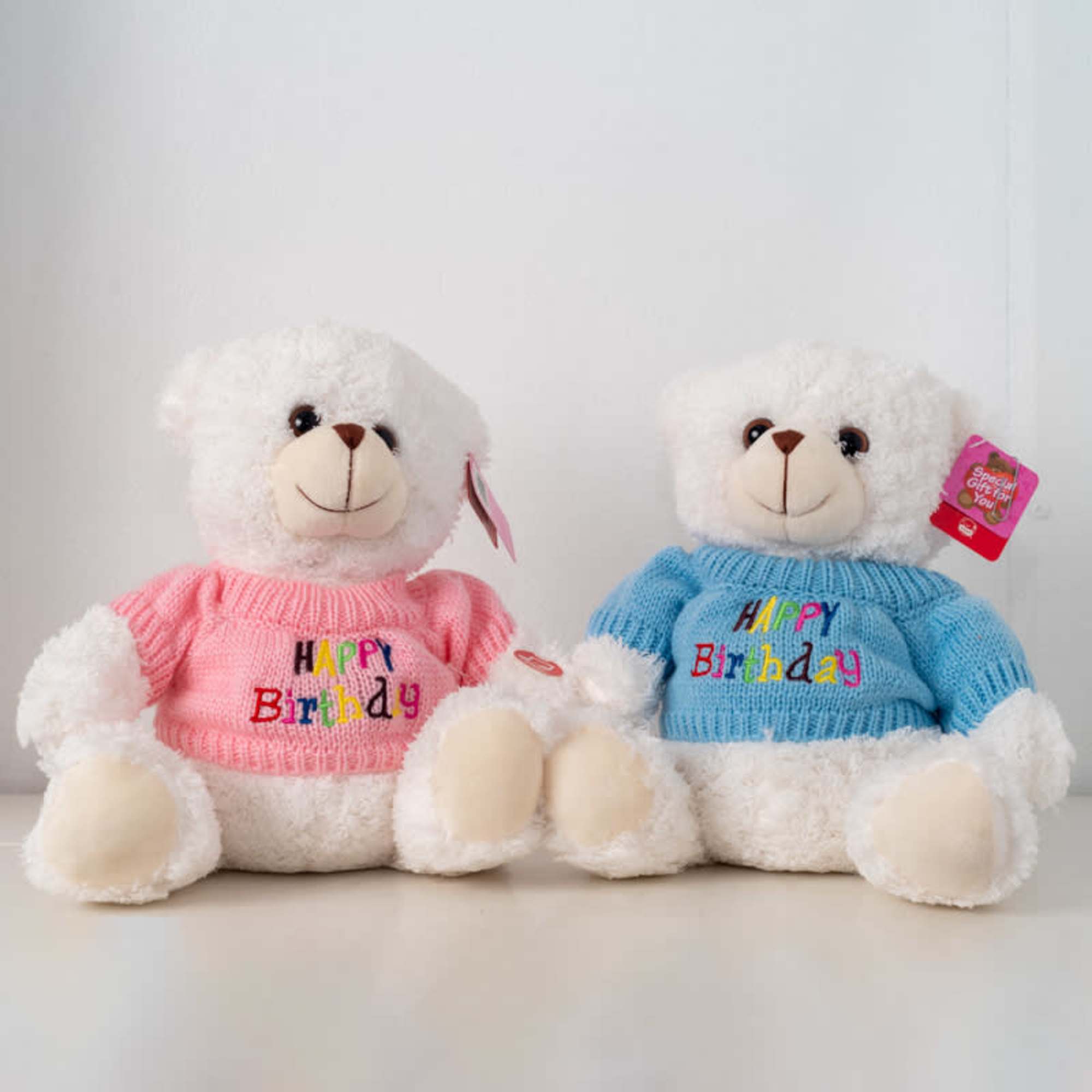 Happy Birthday Teddy small
(flowers can be any color upon request/availability, vases/pots may