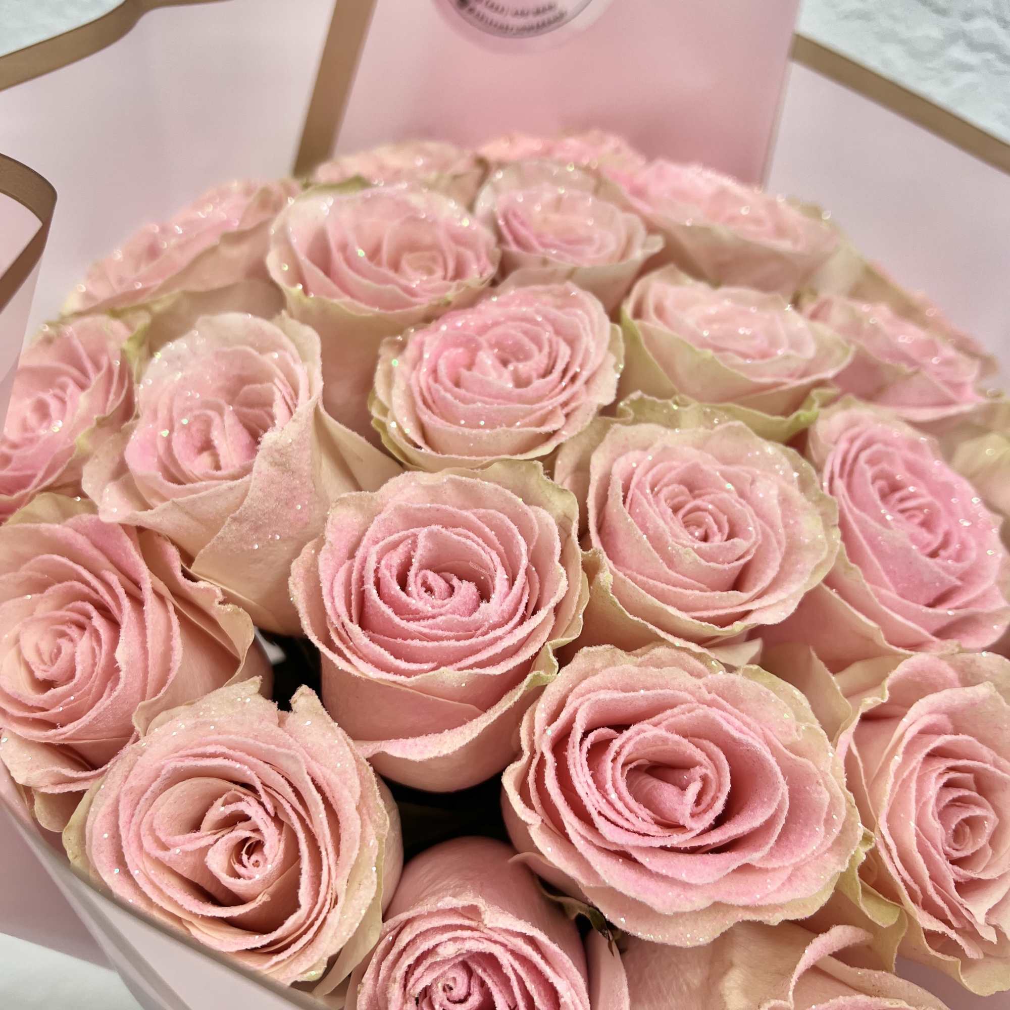 Happy Rose　0329 oh-happy-day-eleganza-rose-