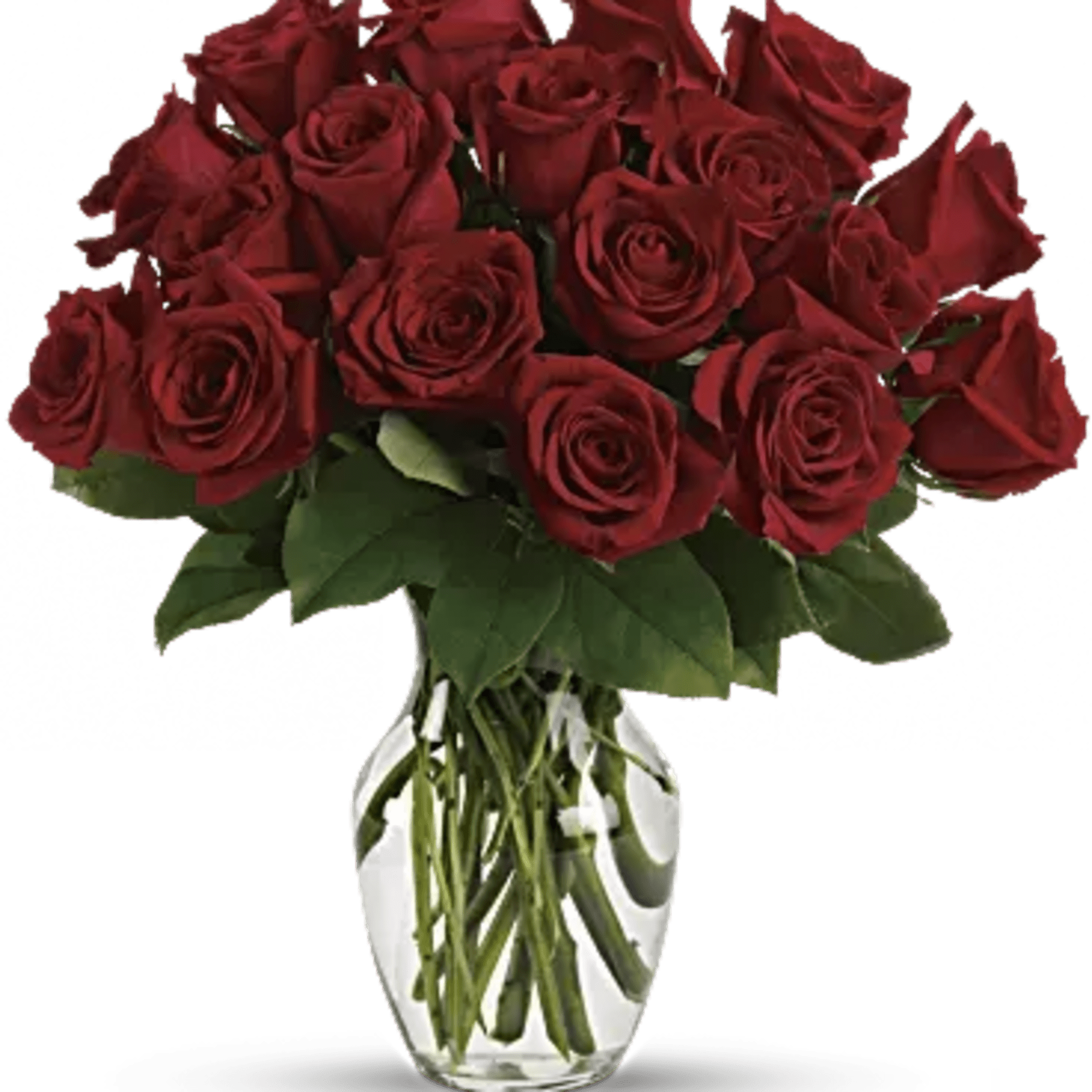 A dozen red roses is a timeless gift of love, and the