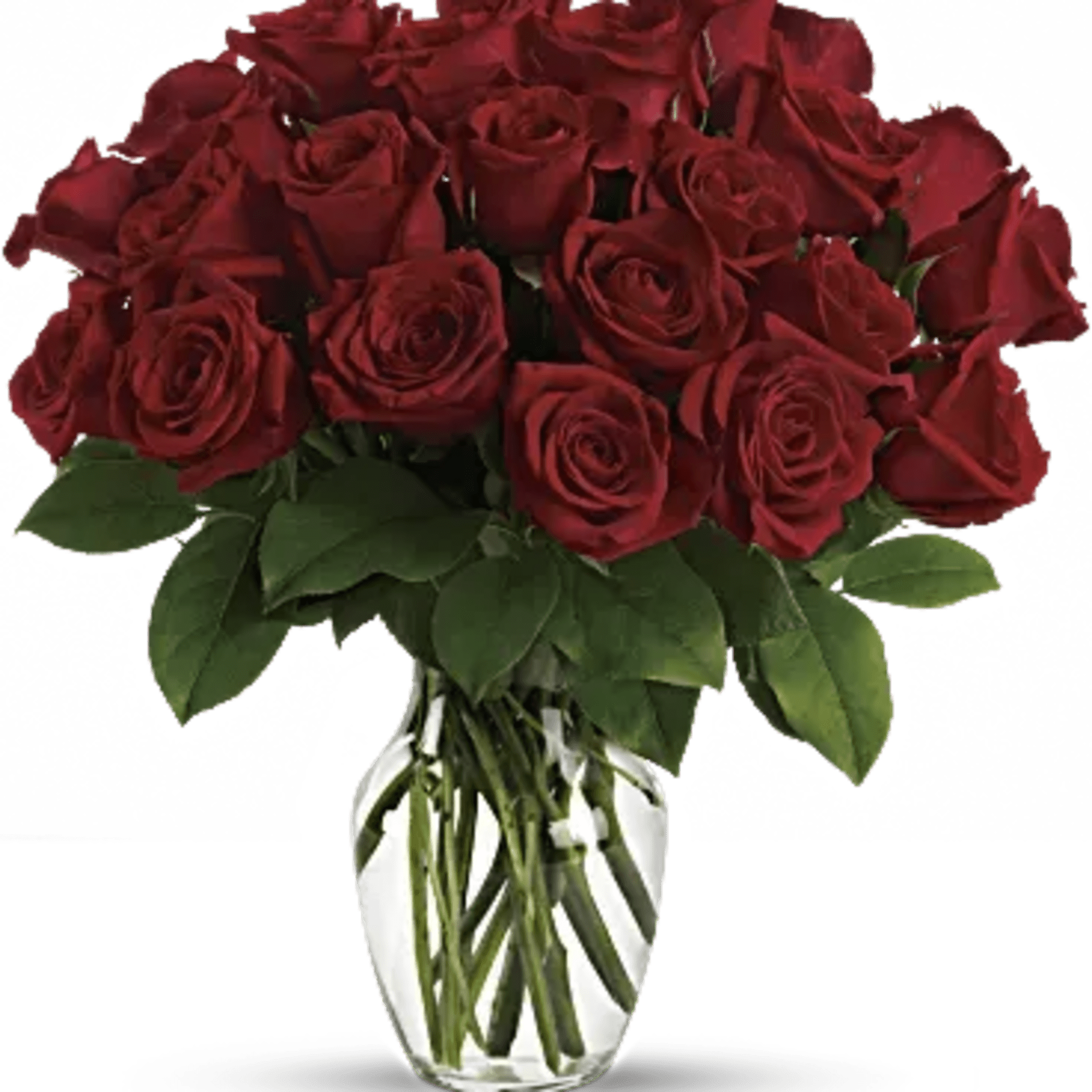 A dozen red roses is a timeless gift of love, and the