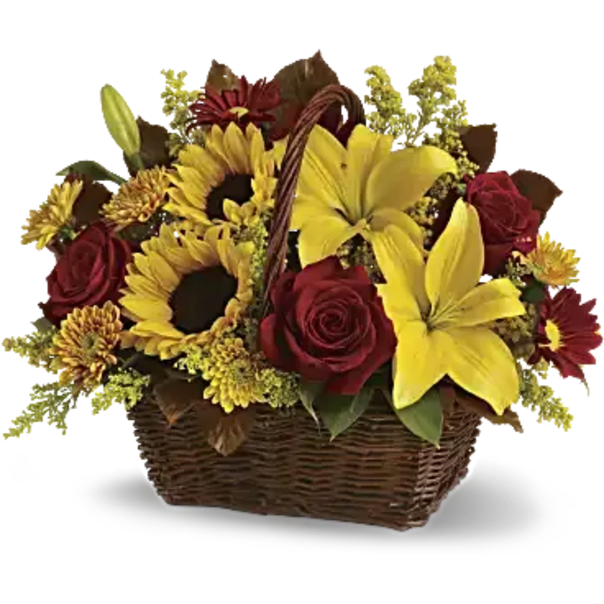 Here&#039;s a golden opportunity to make someone&#039;s day. Just send this delightful