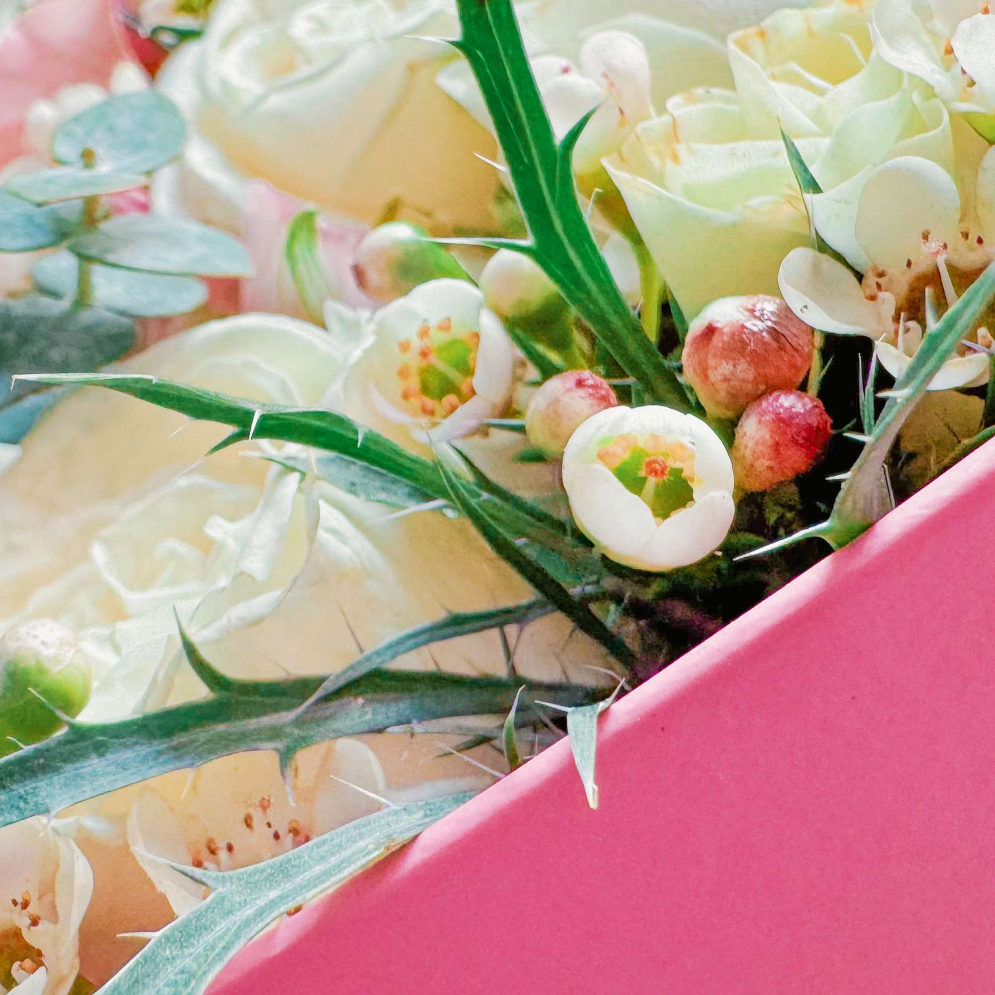 This pink pastel heart box is next level cute. It’s packed with This pink pastel heart box is next level cute. It’s packed with