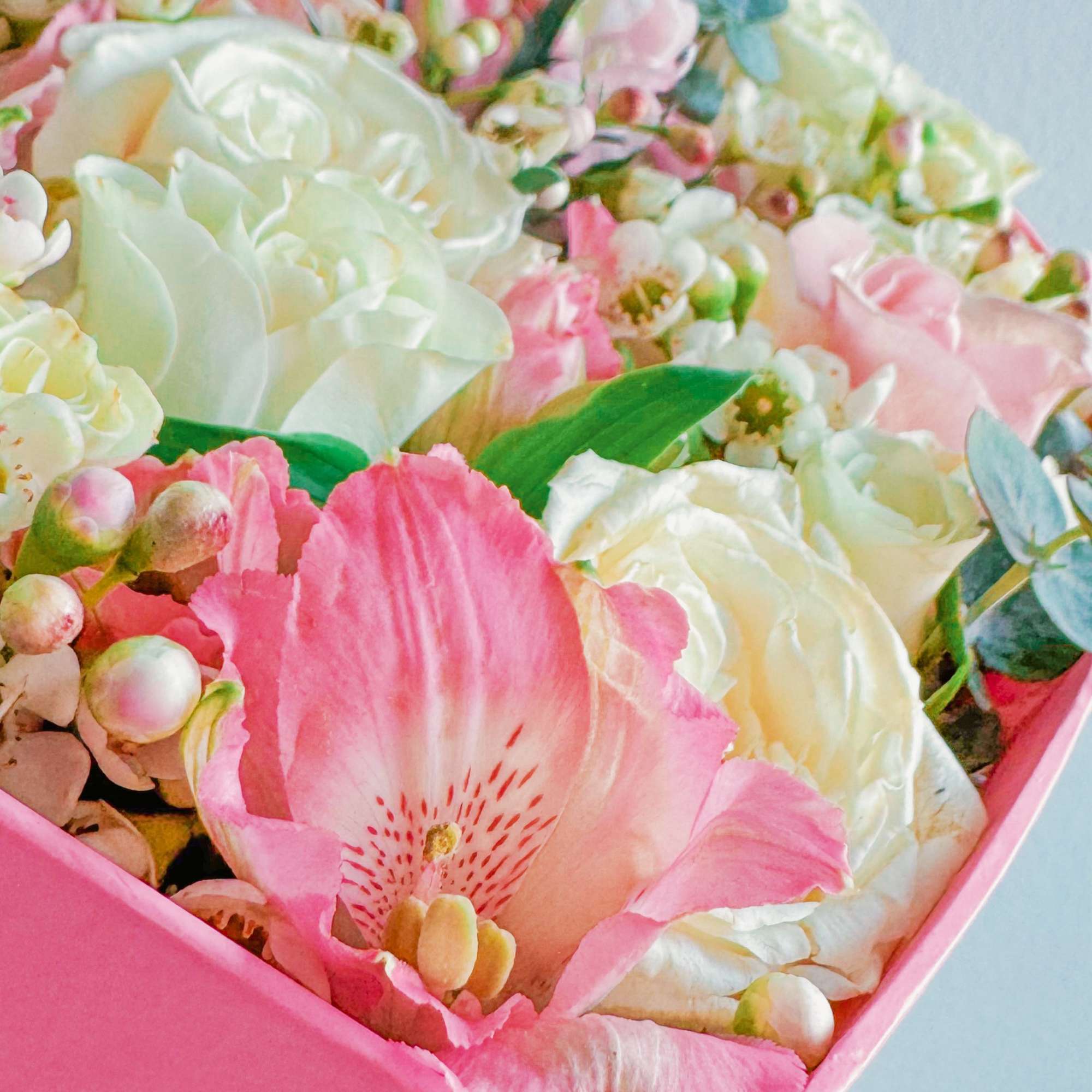 This pink pastel heart box is next level cute. It’s packed with This pink pastel heart box is next level cute. It’s packed with