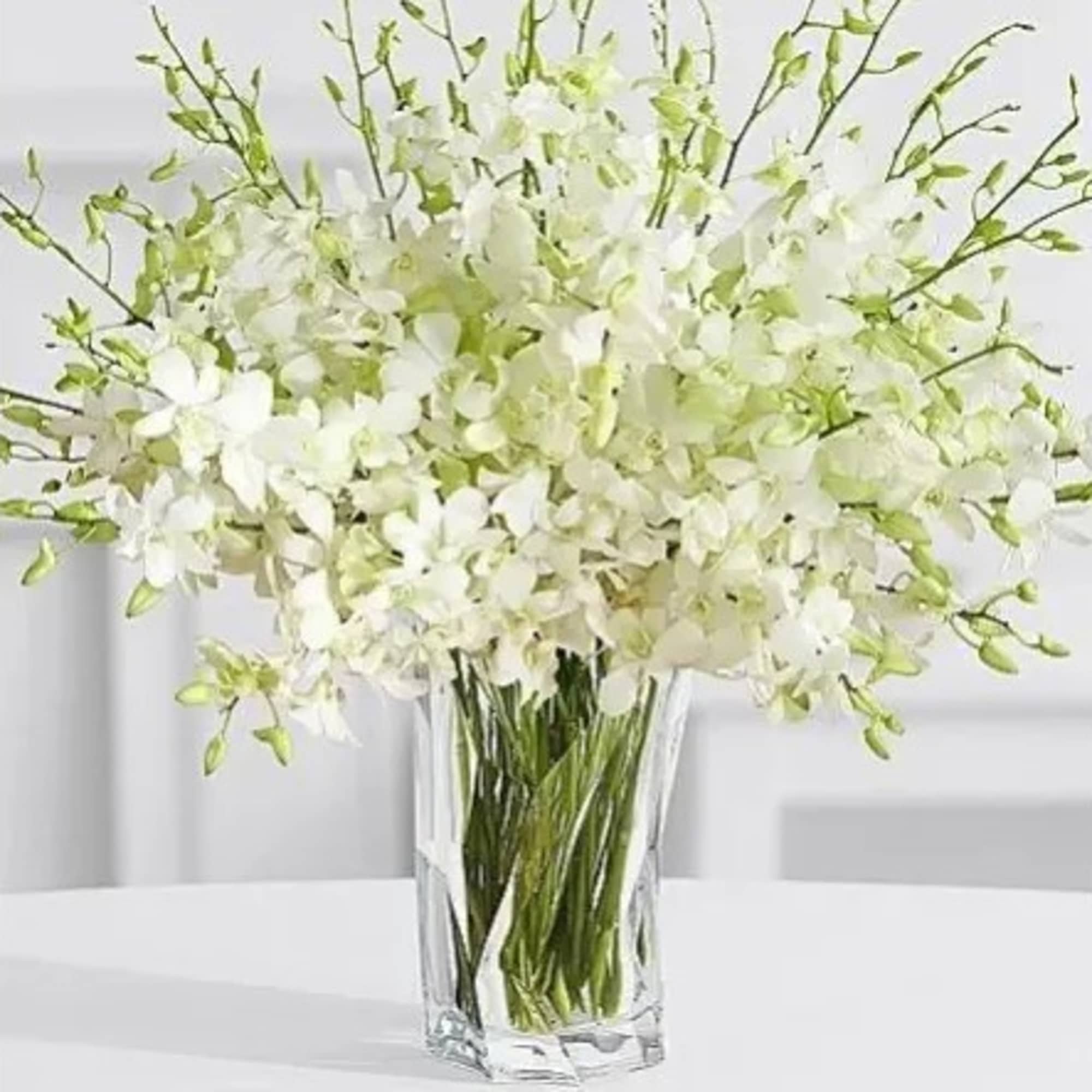 A sophisticated bouquet featuring fifty (50) graceful dendrobium stems, arranged to perfection