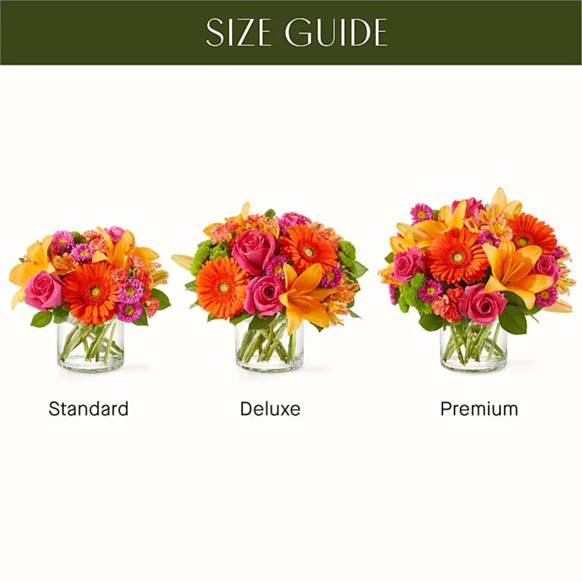 As glamorous and colorful as a seasonal soiree, these blooms bring positive As glamorous and colorful as a seasonal soiree, these blooms bring positive