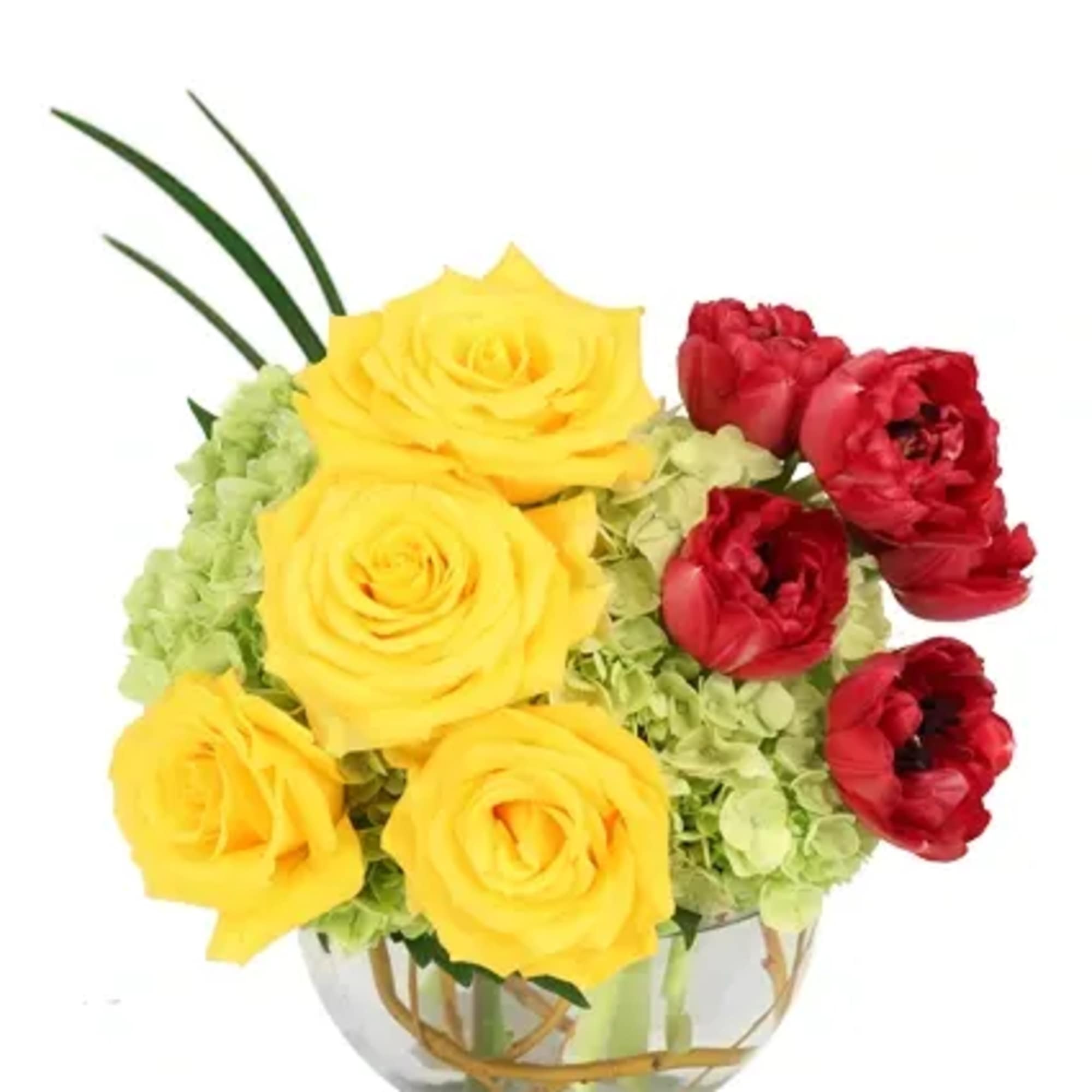 Start their day with a burst of color and energy with Crimson