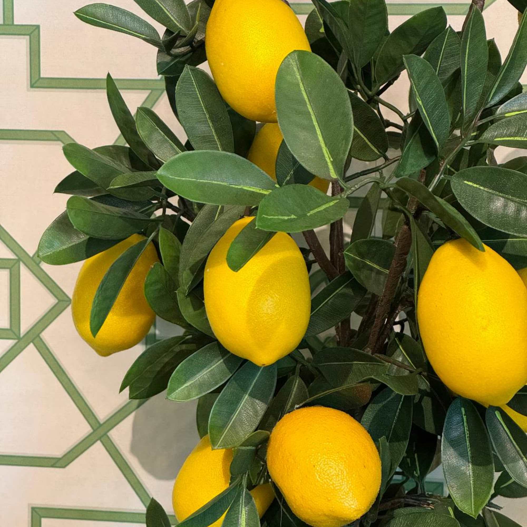 Bring a touch of Mediterranean charm into your space with this realistic Bring a touch of Mediterranean charm into your space with this realistic