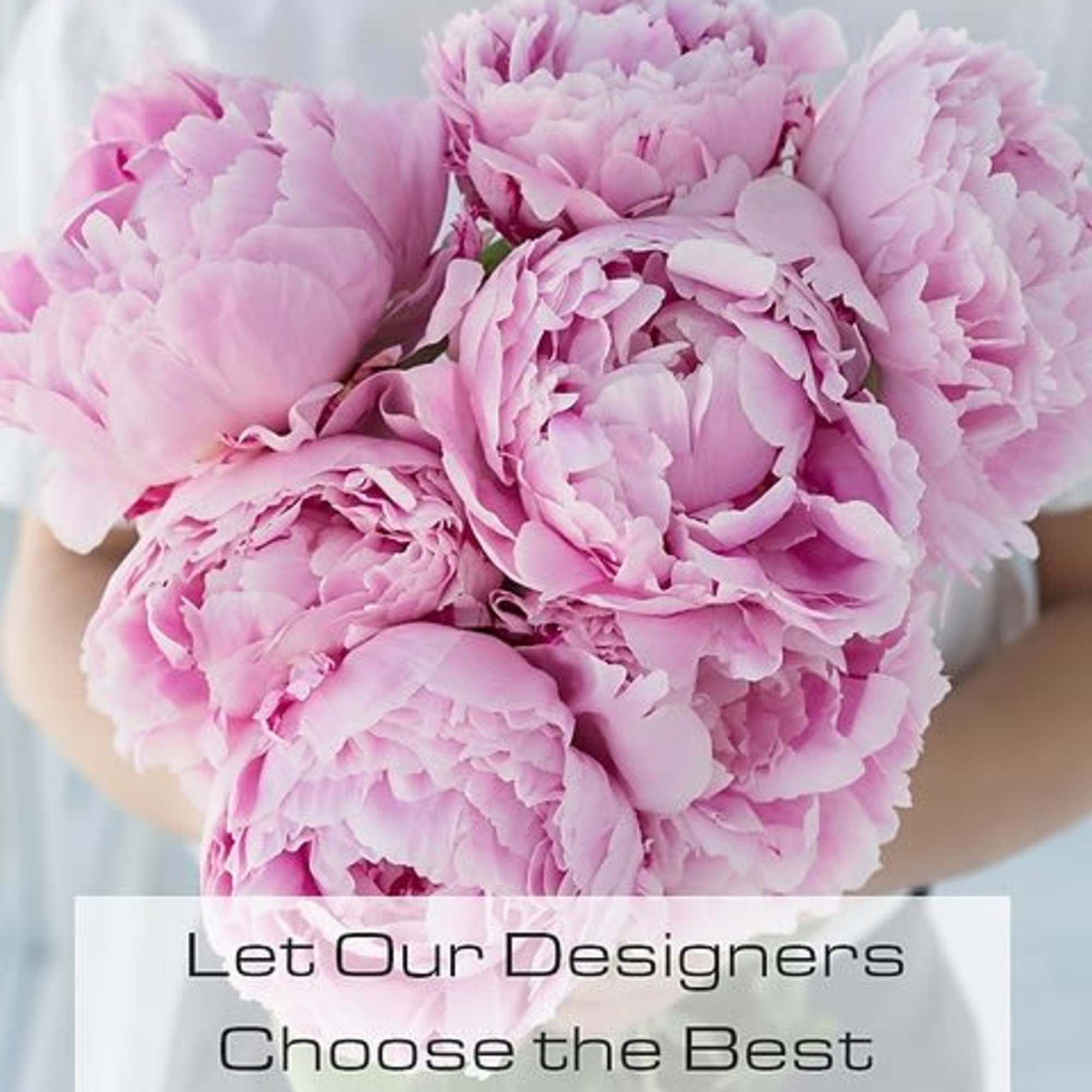 Let one of our designers choose the best of the best for