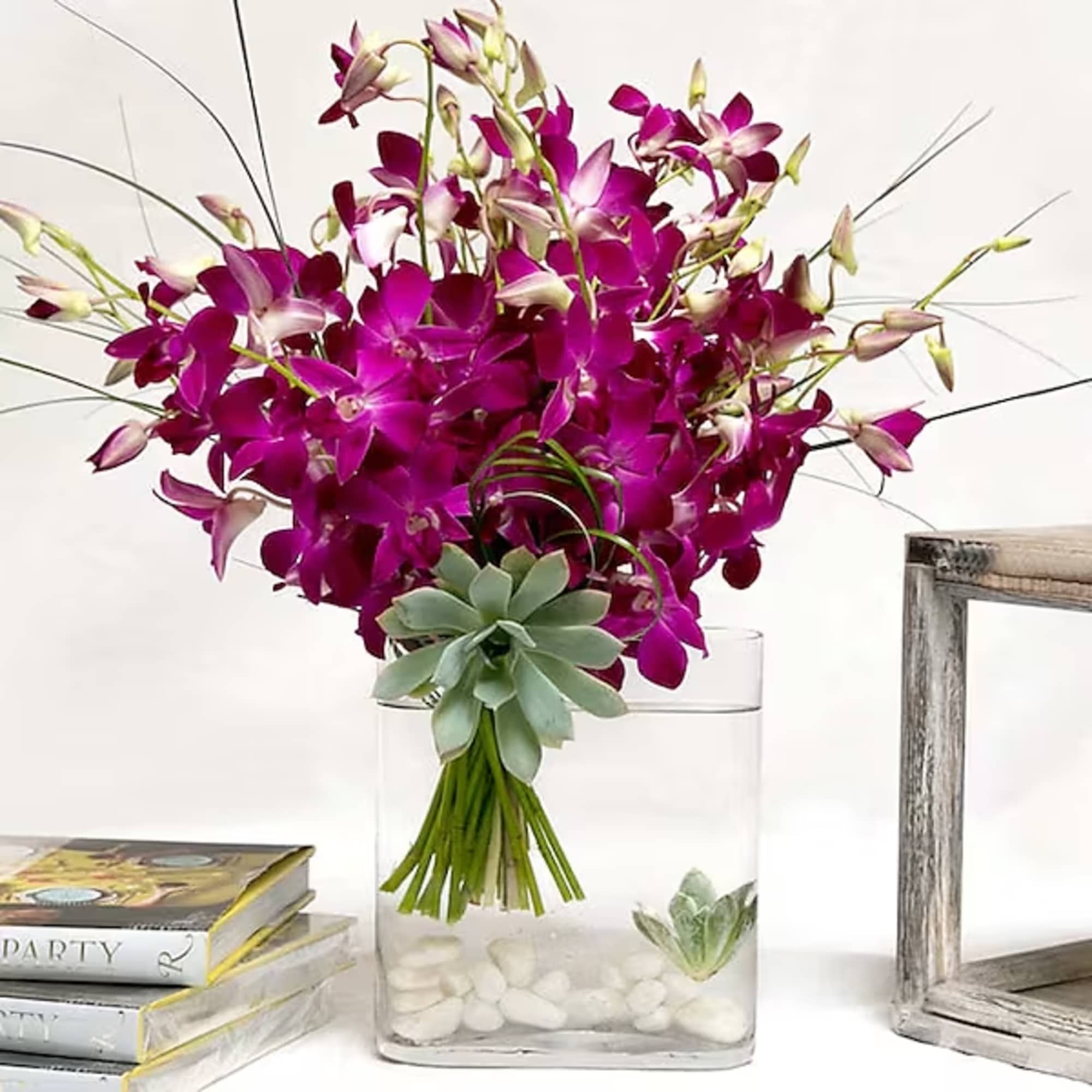 This stylish arrangement of dendrobium orchids is accented with rocks and succulents.