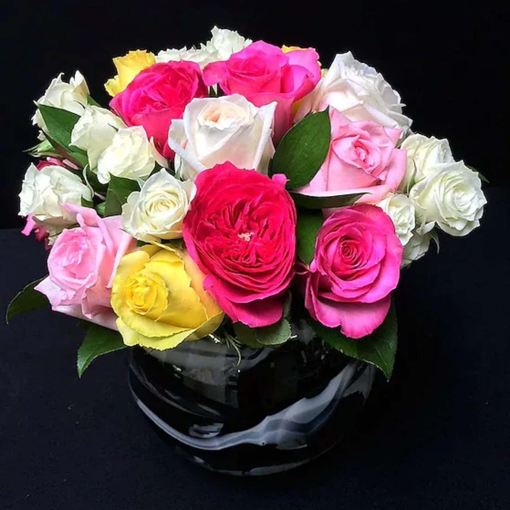 An incredible mix of 18, 24 or 36 of our best rose