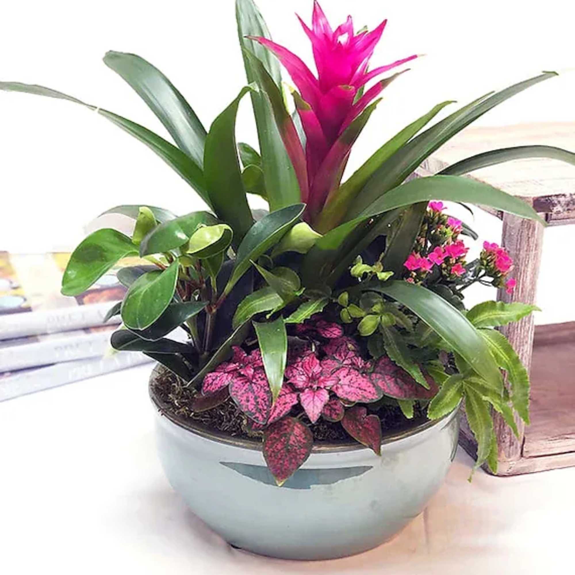 Our beautifully designed containers of blooming and green plants will provide you