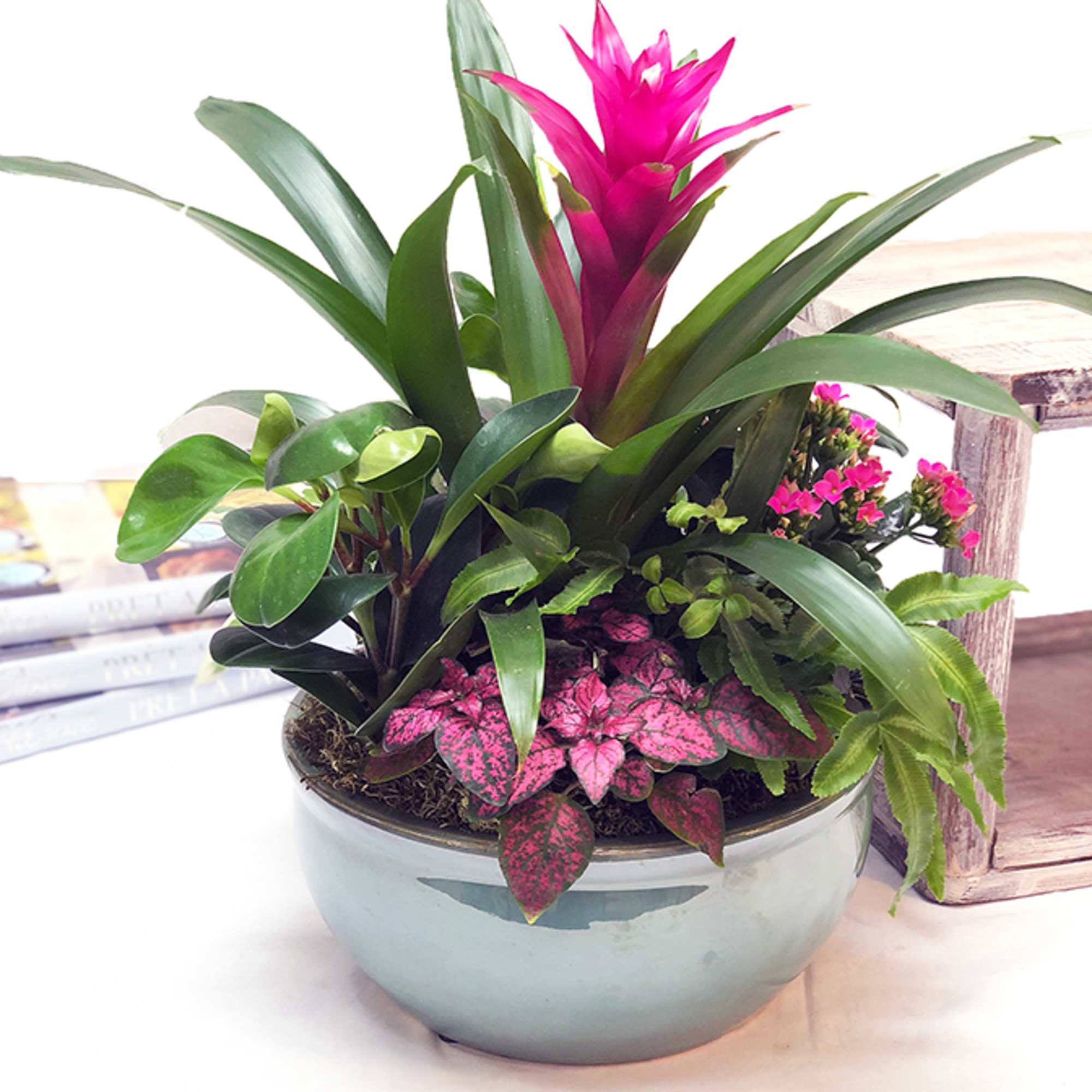 Our beautifully designed containers of blooming and green plants will provide you