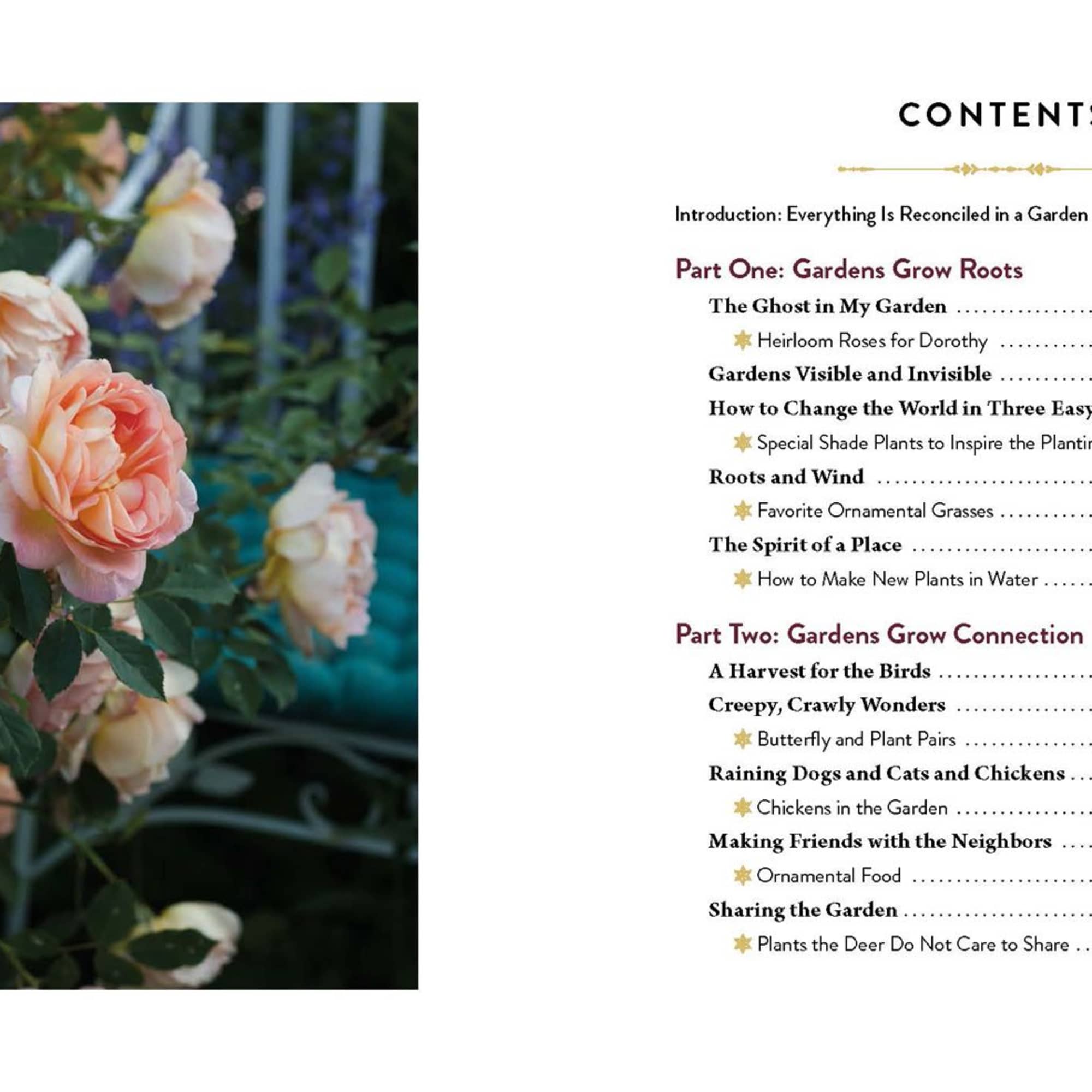 How gardens grow roots, connection, wholeness and hope