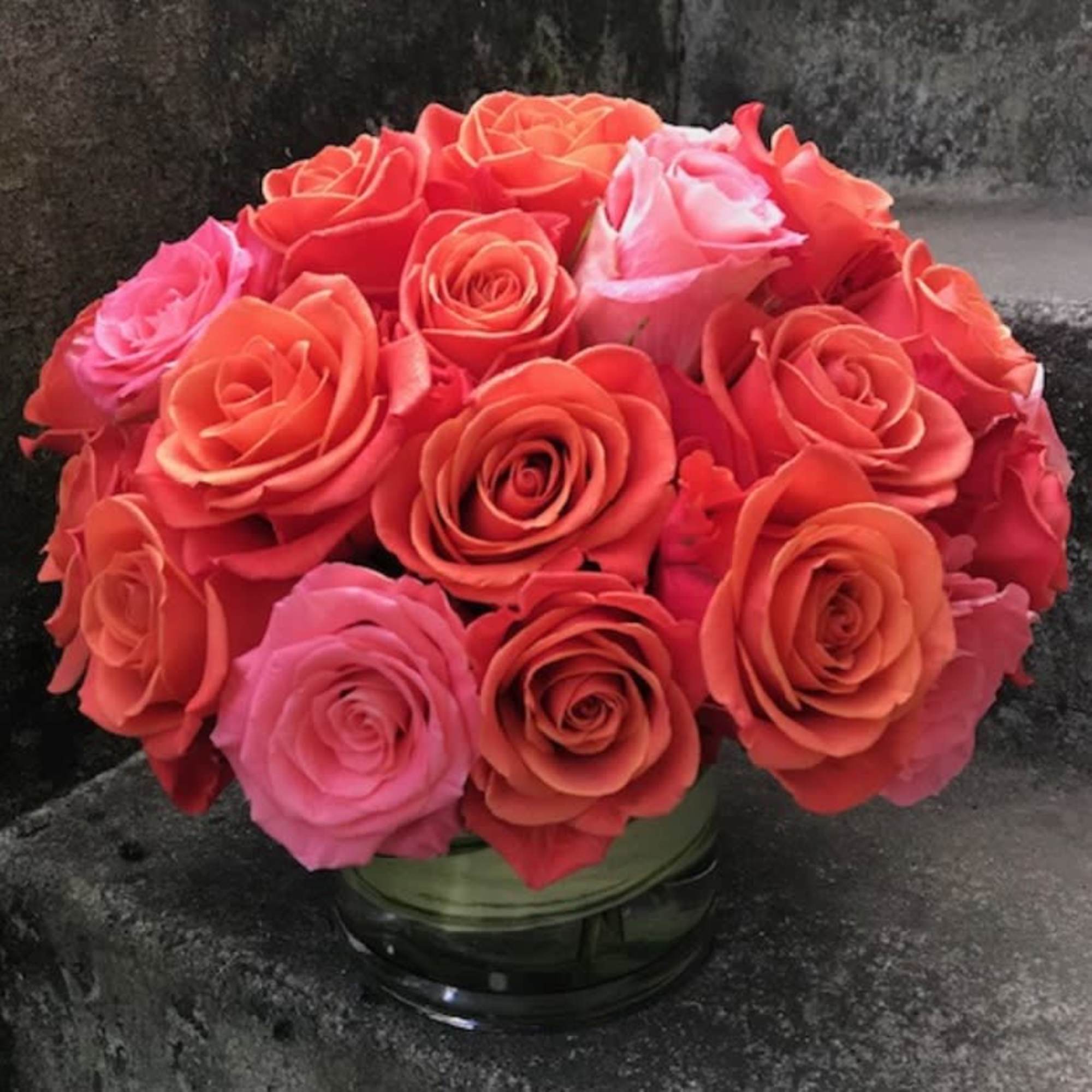 Classic, simple, perfect. Two dozen premium roses arranged without filler or fuss