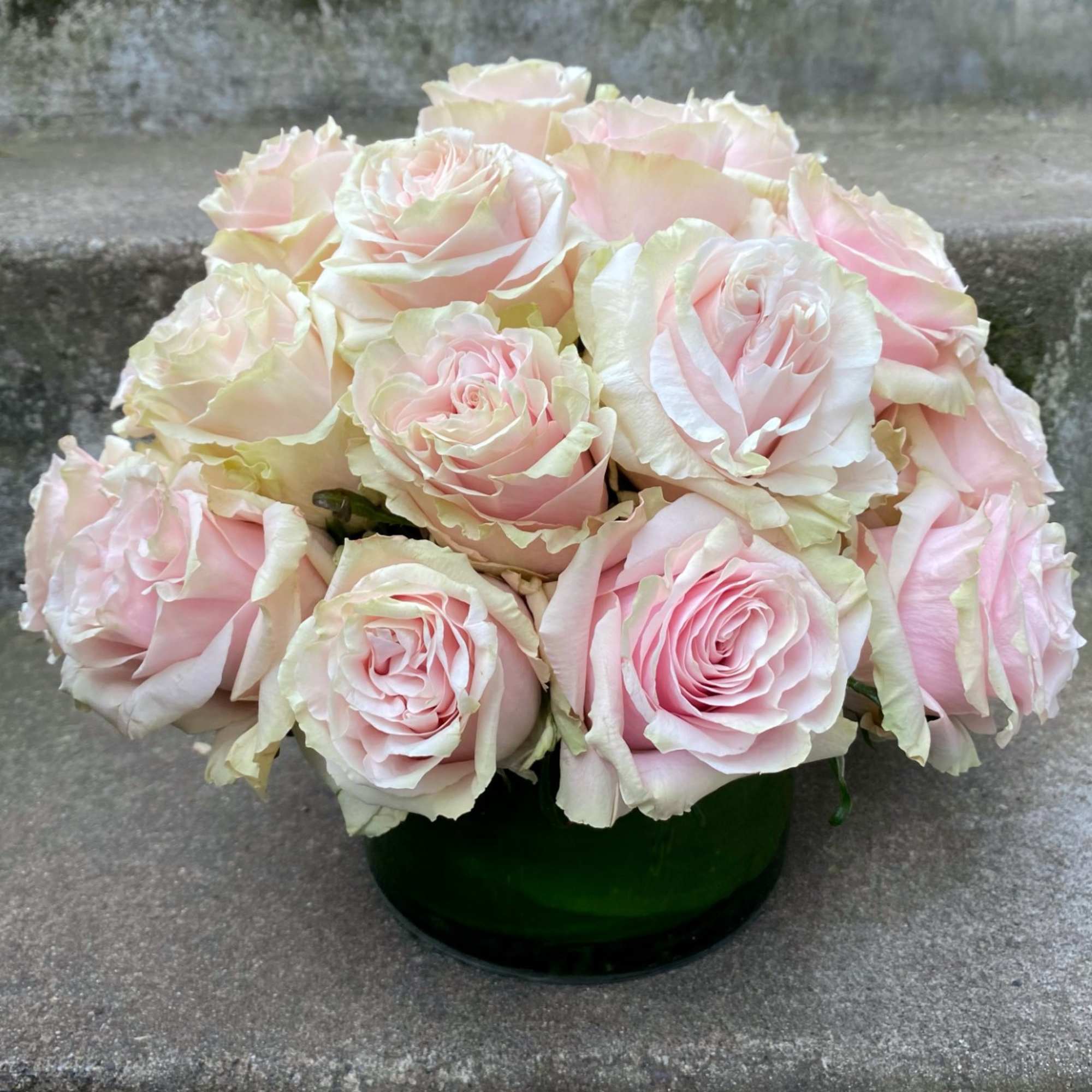 Classic, simple, perfect. Two dozen premium roses arranged without filler or fuss