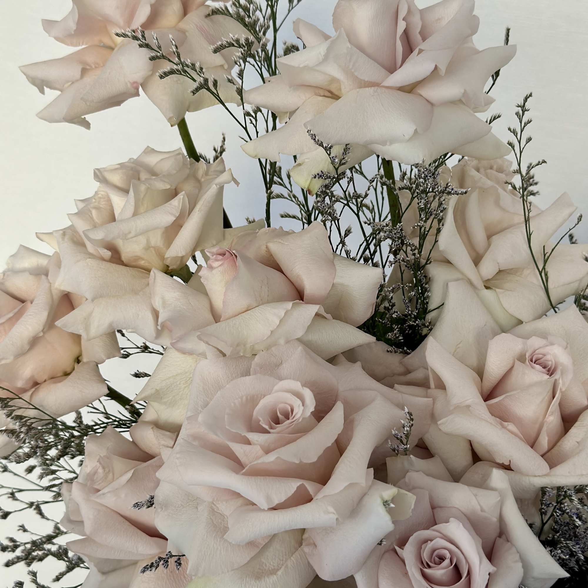 Introducing a stunning blend of delicate roses nestled in a sleek, chic
