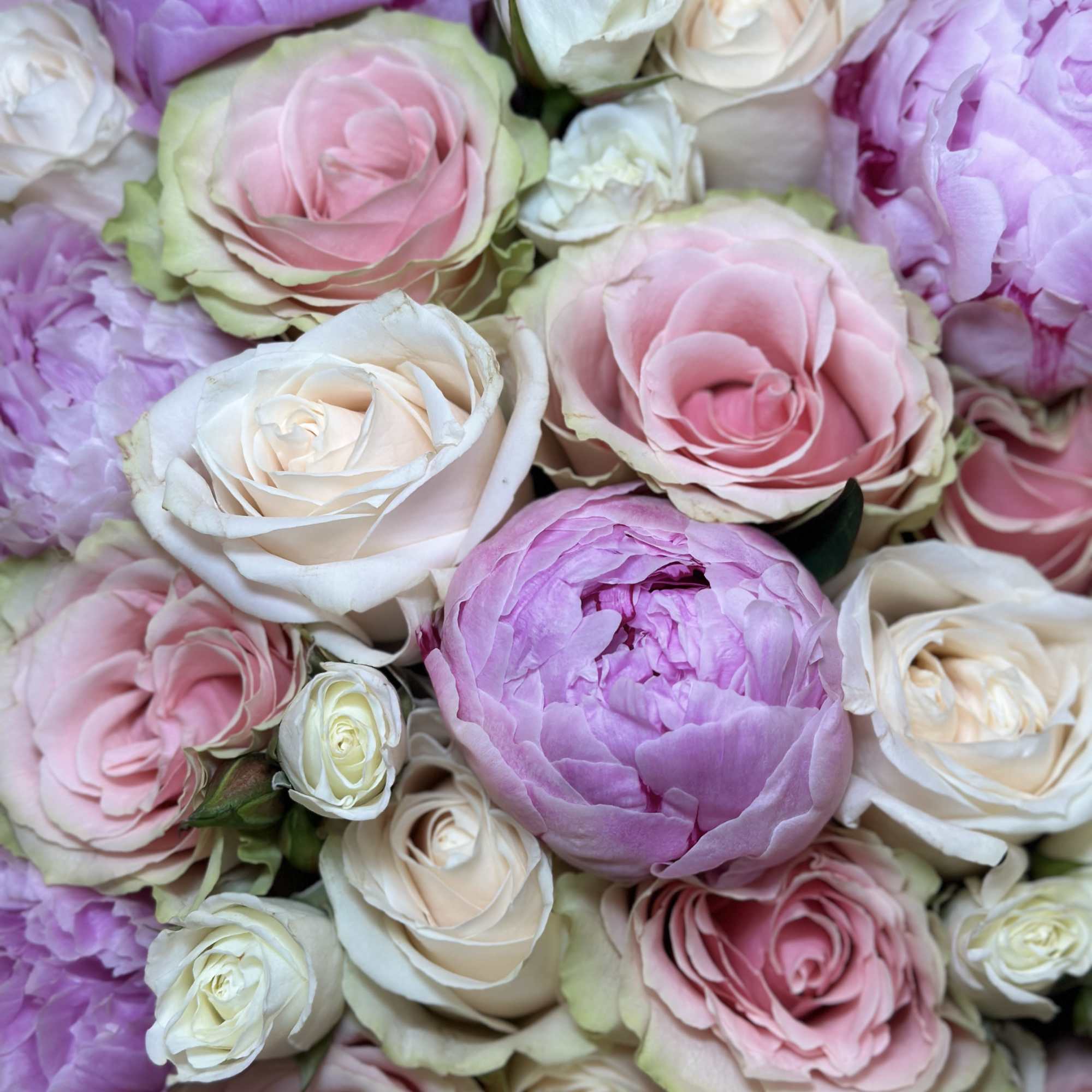 This delicate boxed arrangement features a soft blend of light pink and