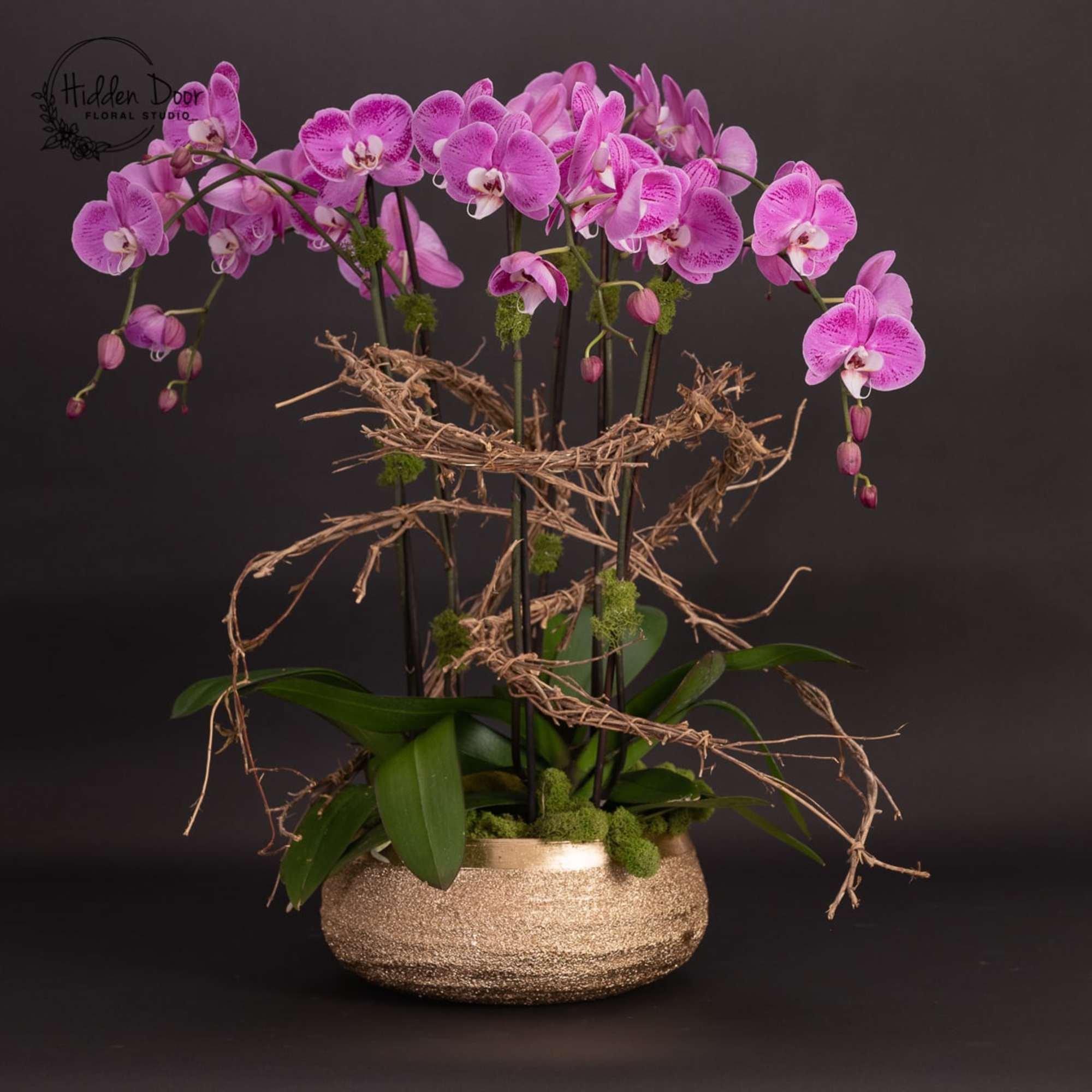Elegant and modern orchid arrangement with natural ivy and moss consisting of