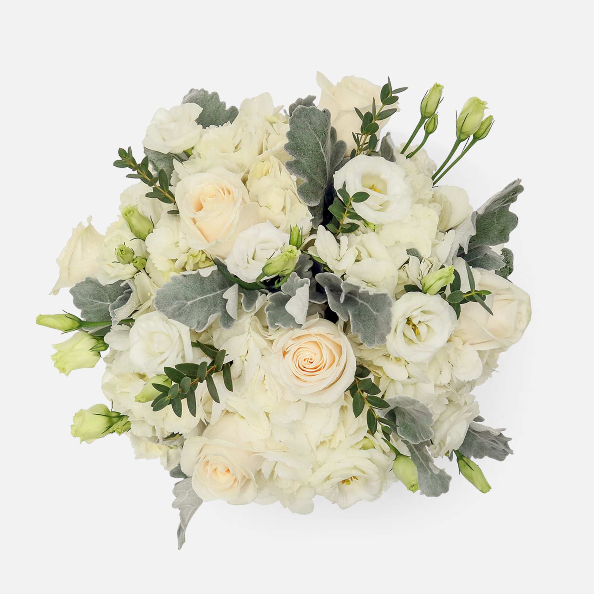 [ Height: 10&#039;&#039; - 11&#039;&#039; | Diameter: 10&#039;&#039; - 11&quot; ]
A clear