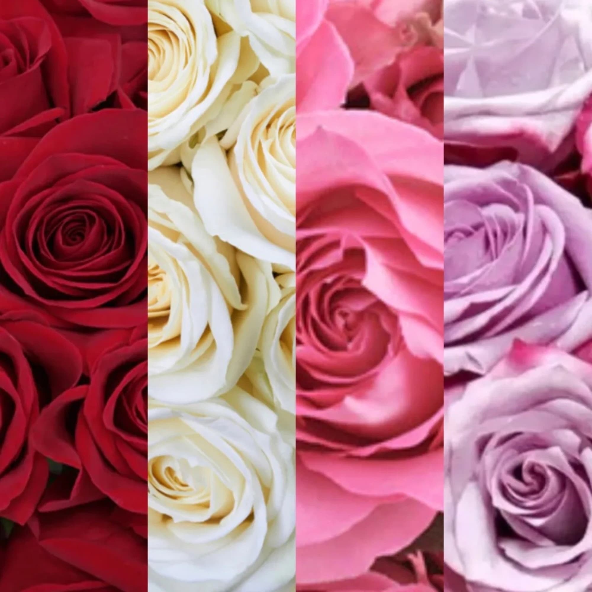 Teal Heart Box Rose Arrangement with Lid Consist of 20-24 Large Bloom