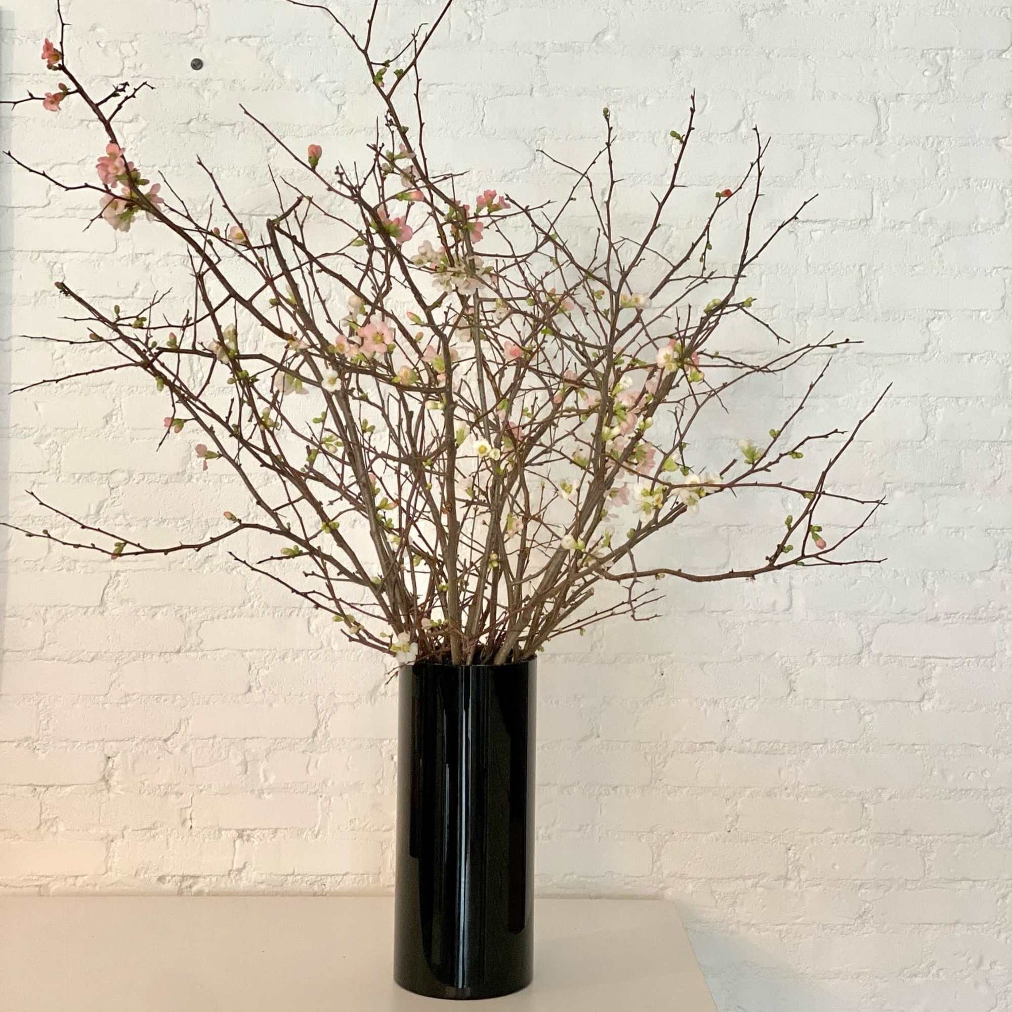 Seasonal and extremely special, we absolutely love using quince branches. They last