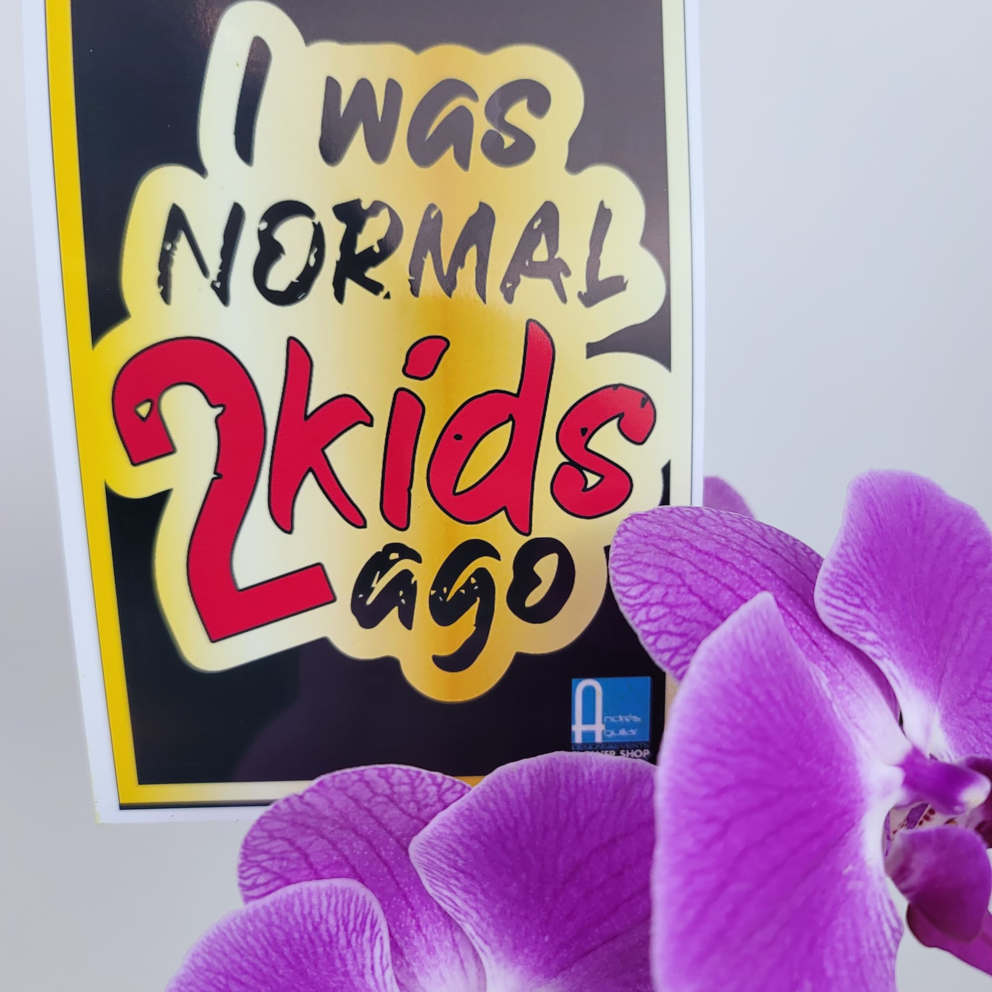 Two White Phaleanopsis Orchid Plants in a White Vase with Branches, and Two White Phaleanopsis Orchid Plants in a White Vase with Branches, and