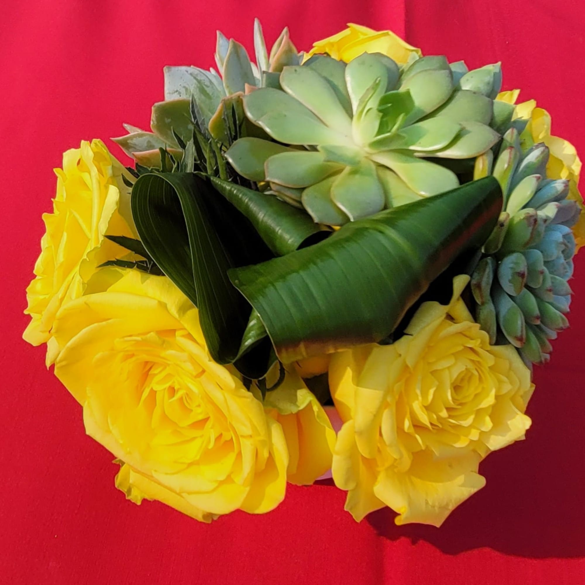 Vibe with sunshine in yellow roses and native succulents Vibe with sunshine in yellow roses and native succulents