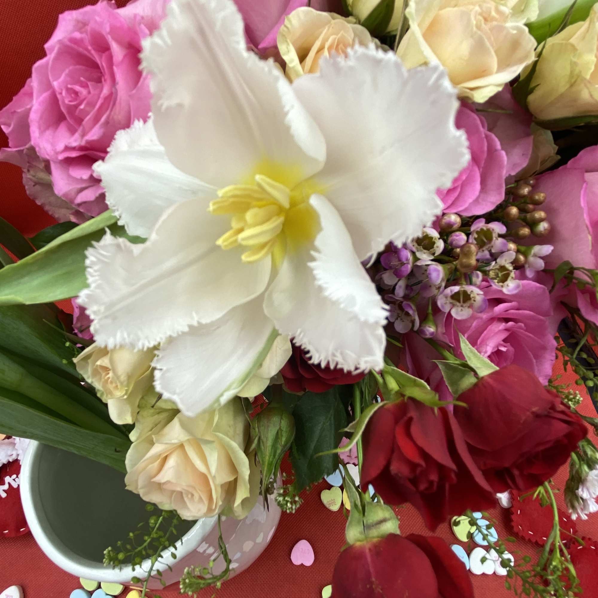 Tulips make any room look like spring is here!  We have