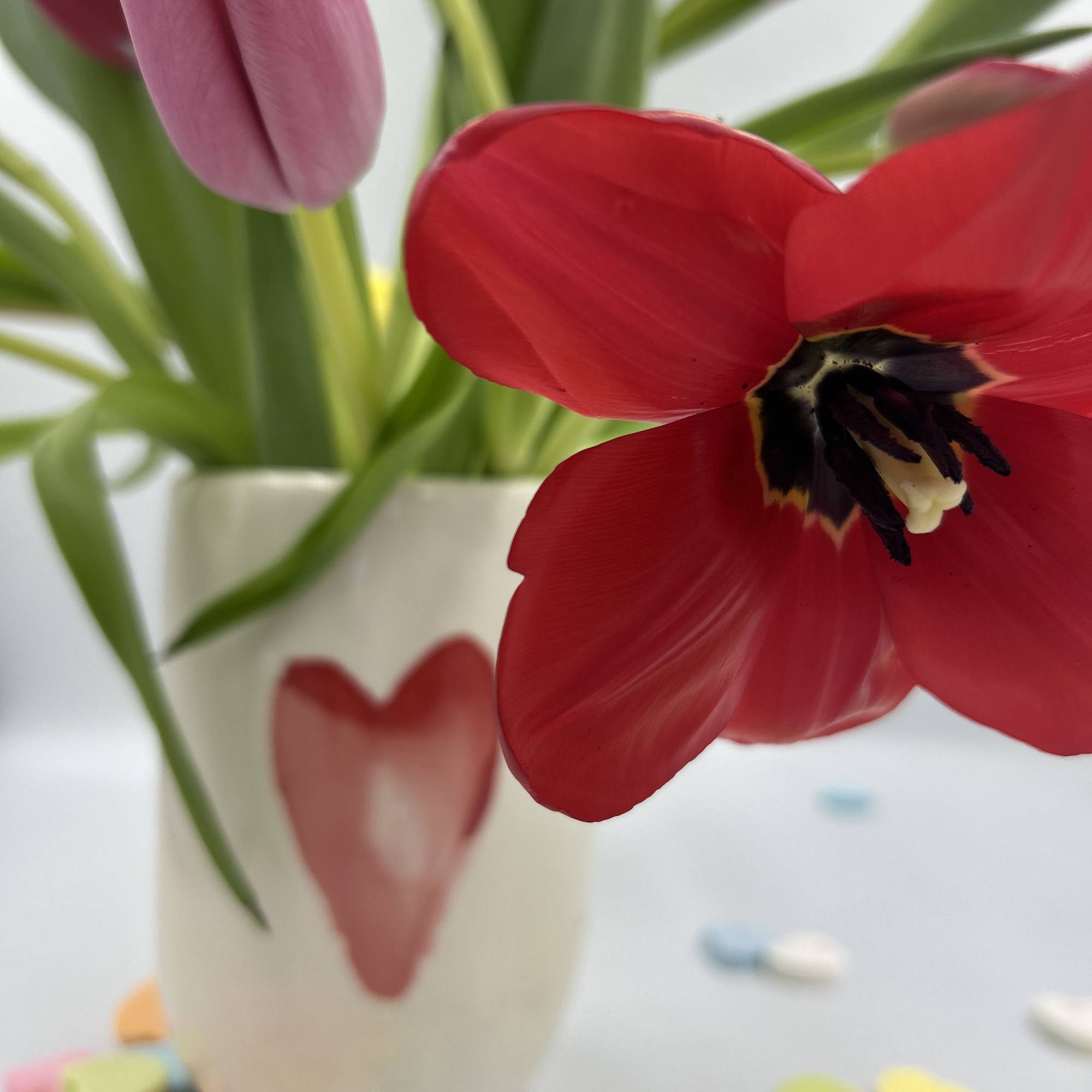 Tulips make any room look like spring is here!  We have