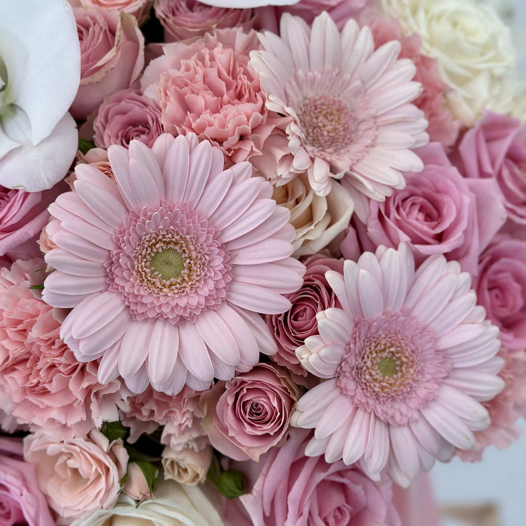Unveil a touch of elegance with this pink box of beautiful flowers.