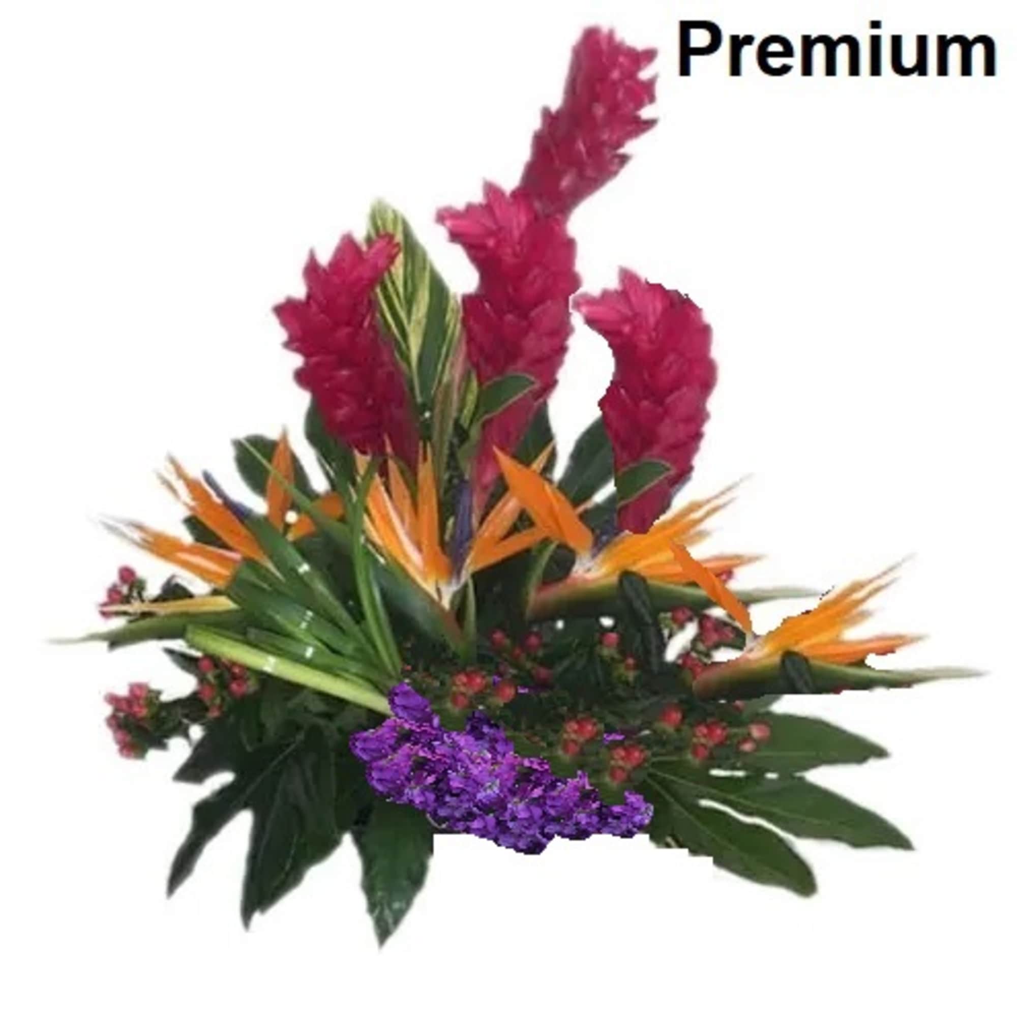 Tropical Flowers as shown arranged in a vase. Deluxe version has more Tropical Flowers as shown arranged in a vase. Deluxe version has more